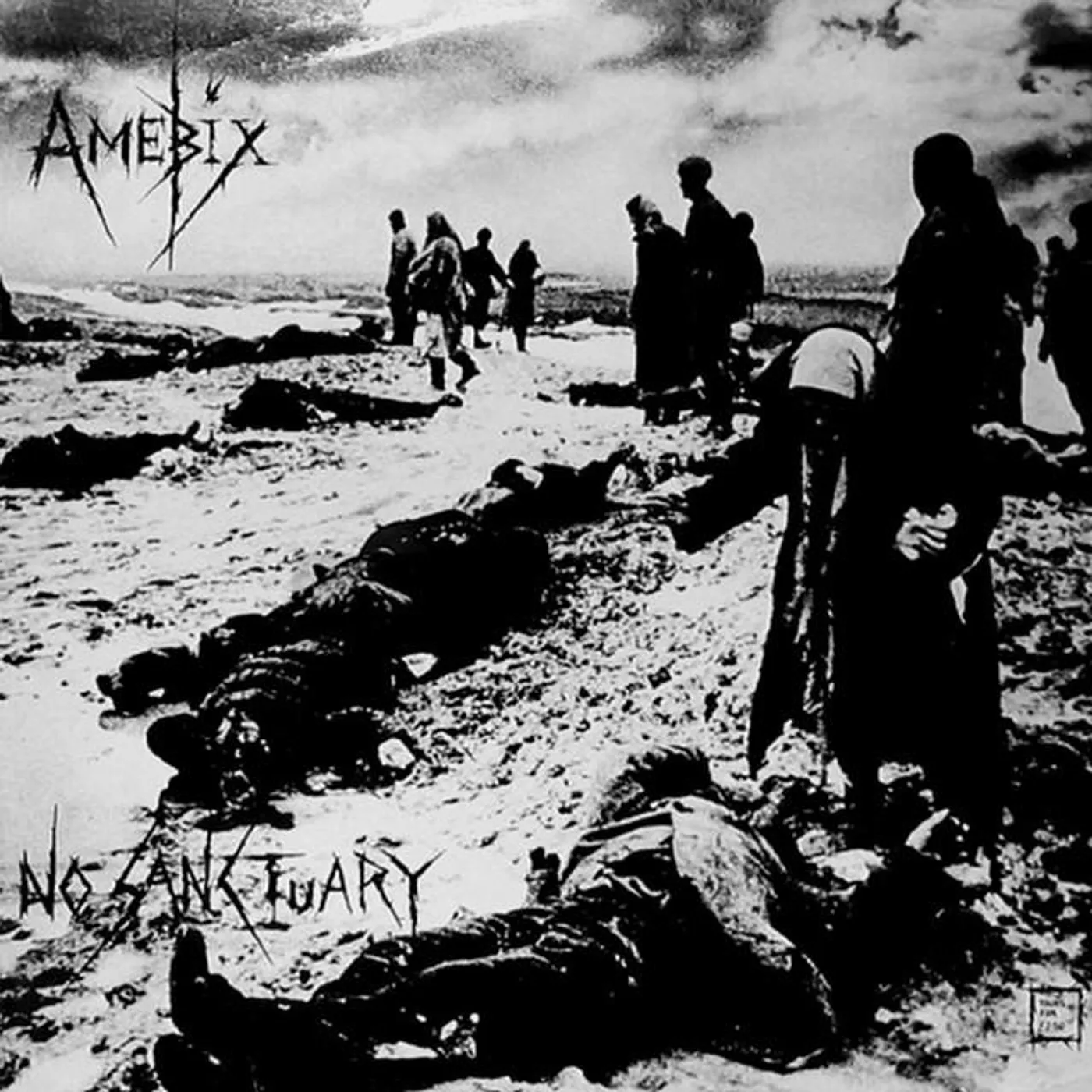 Amebix Brand Page