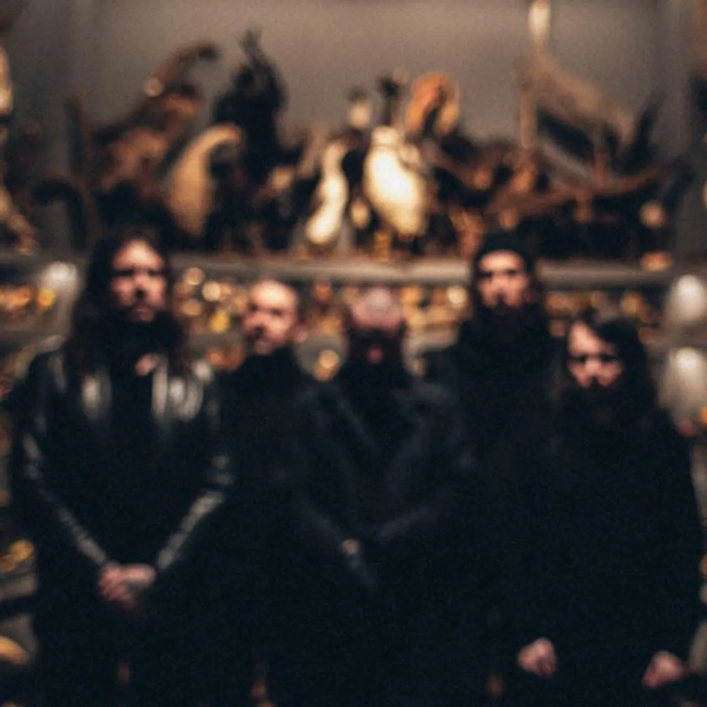 Amenra Brand Page