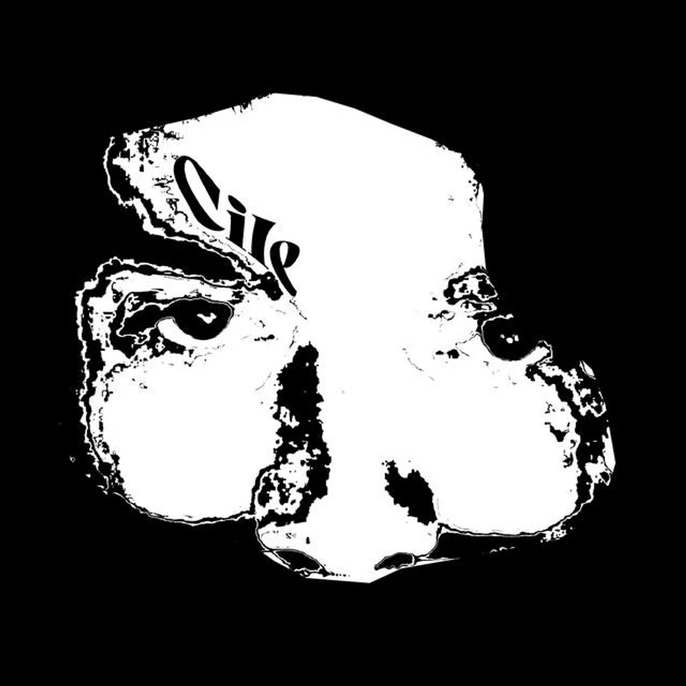 American Dead Cross