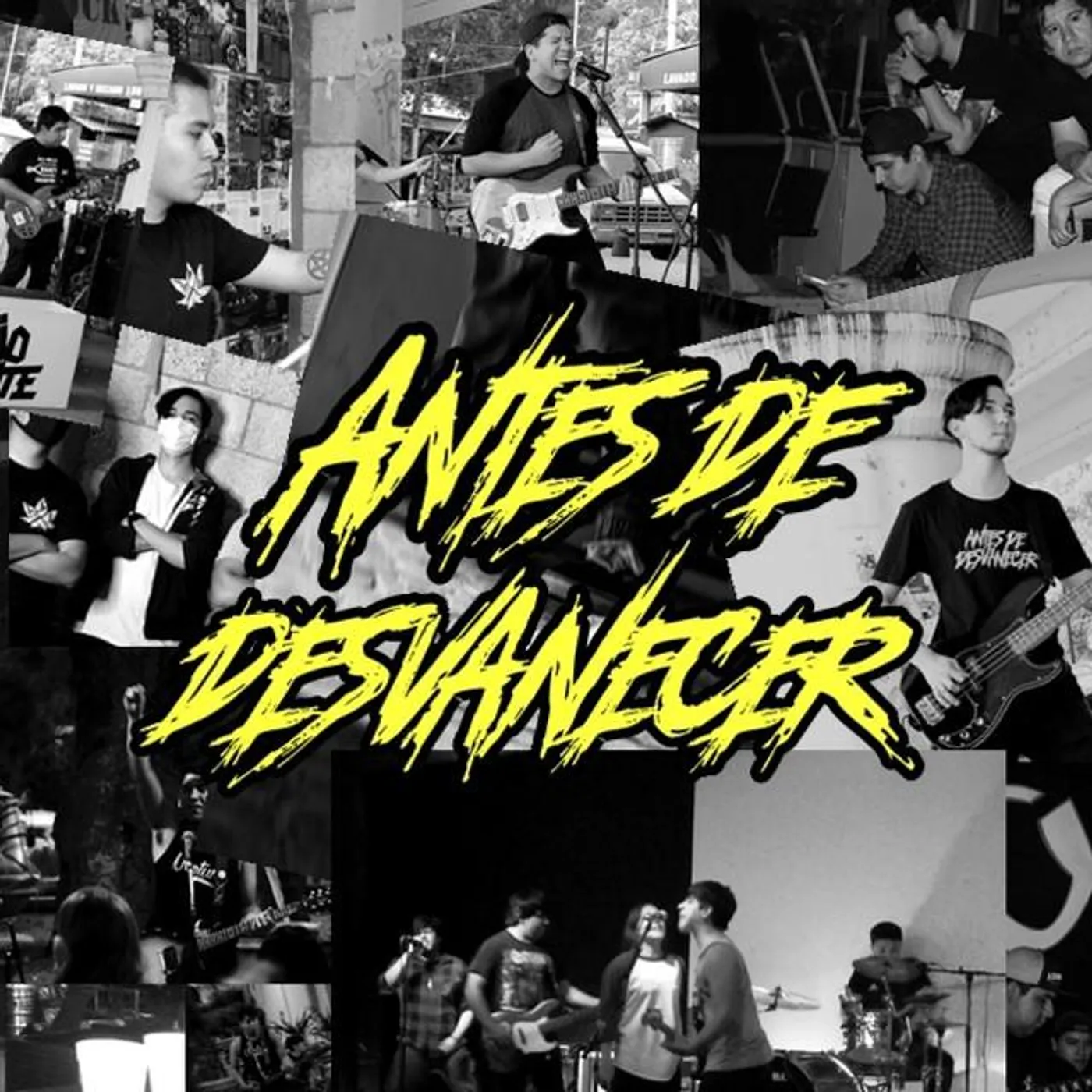 Antes de Desvanecer
