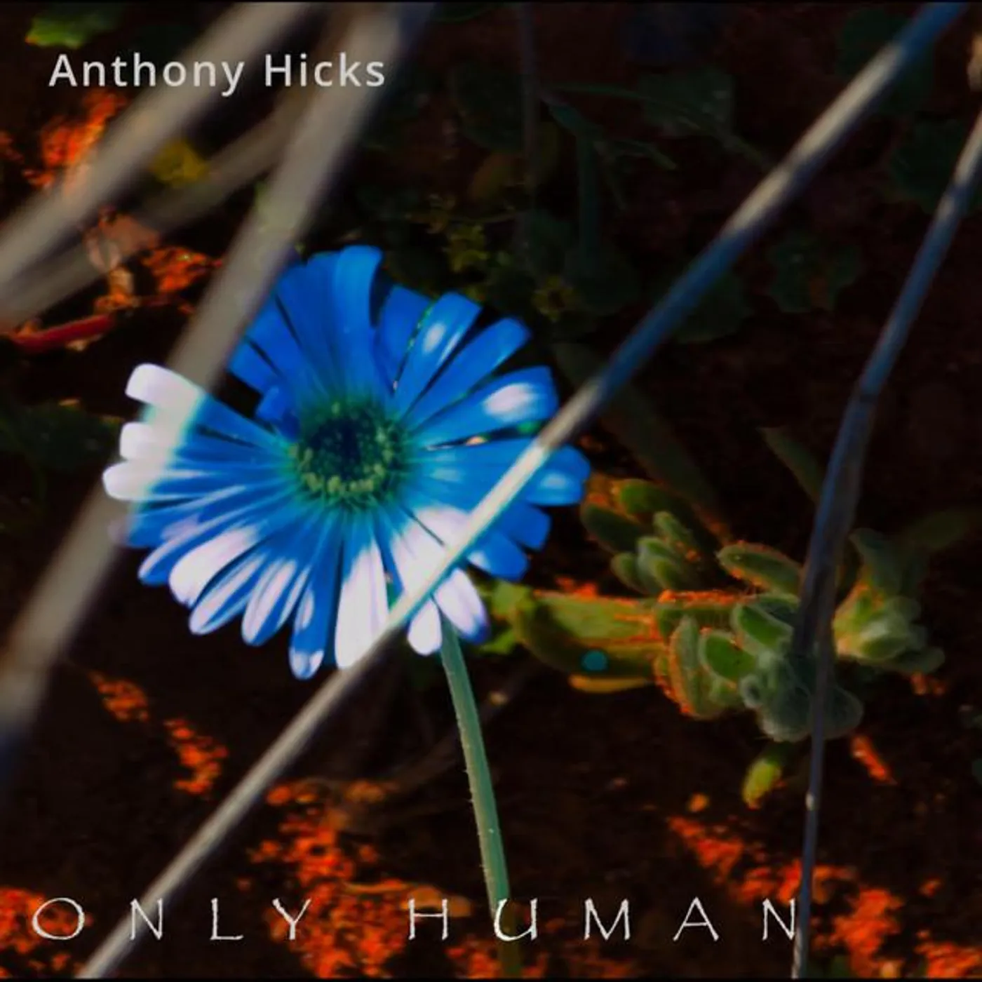 Anthony Hicks Brand Page
