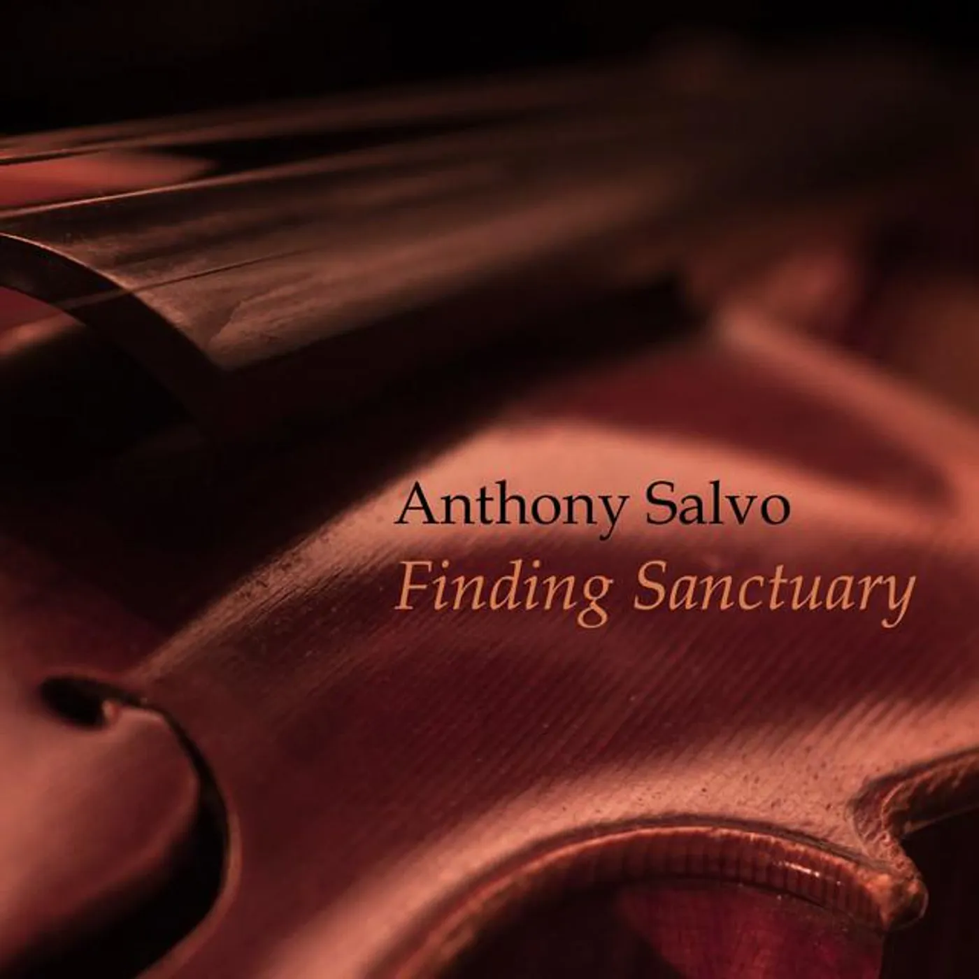 Anthony Salvo Brand Page