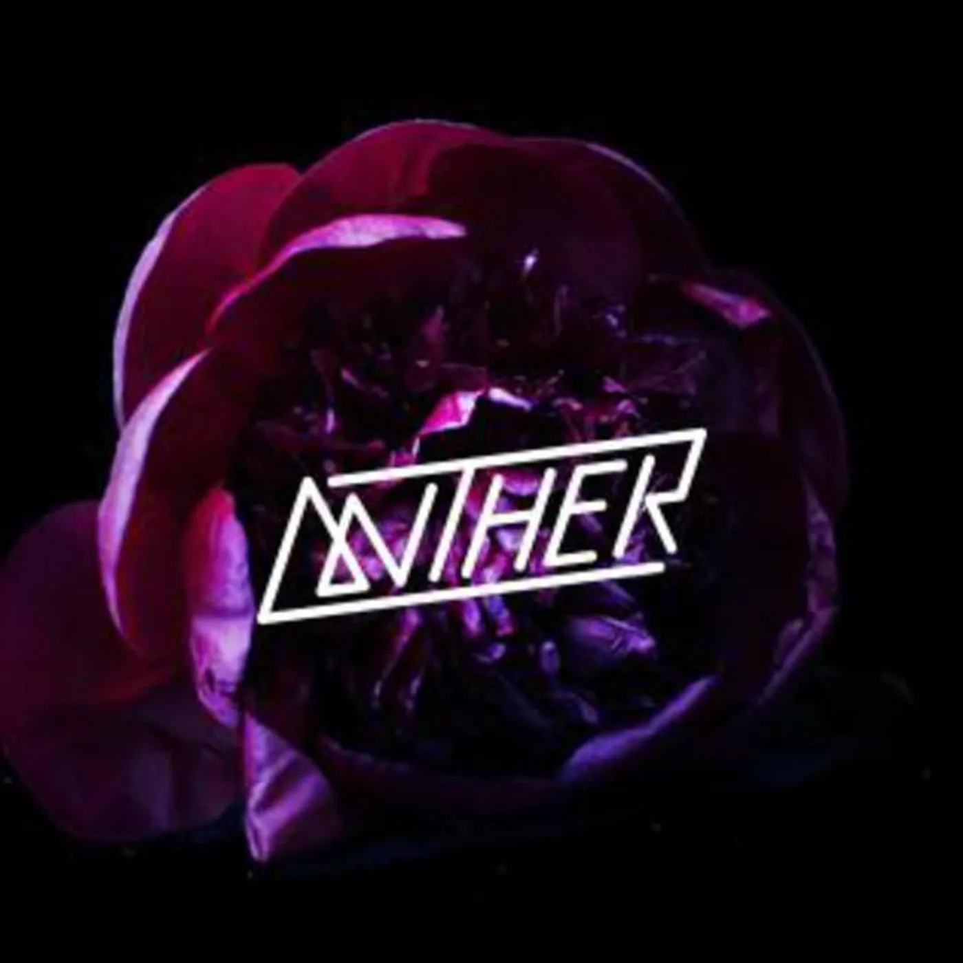 Anther Brand Page