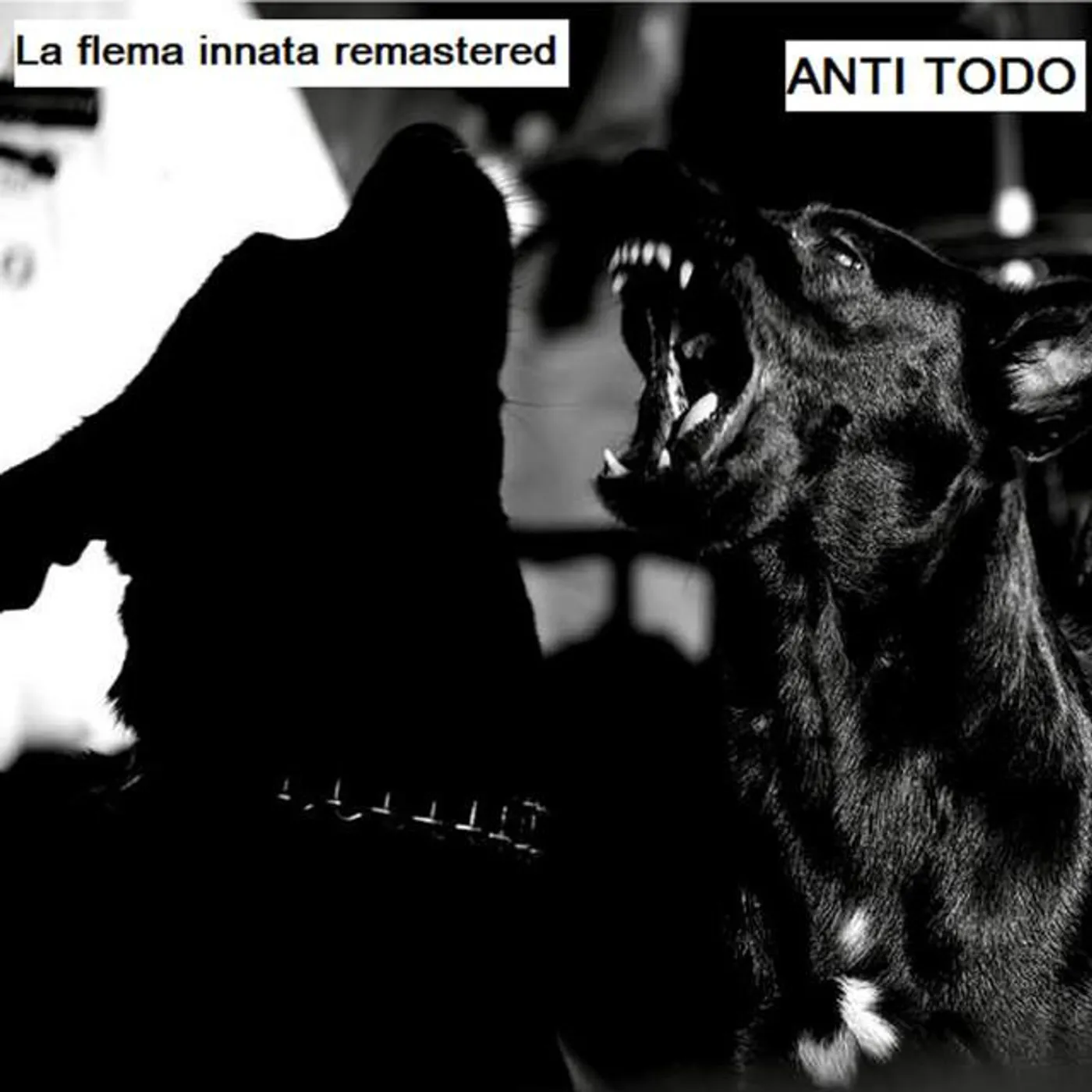 Anti Todo Brand Page