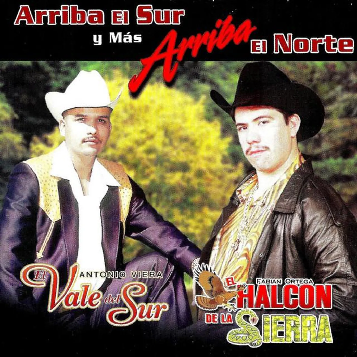 Antonio Viera El Vale Del Sur