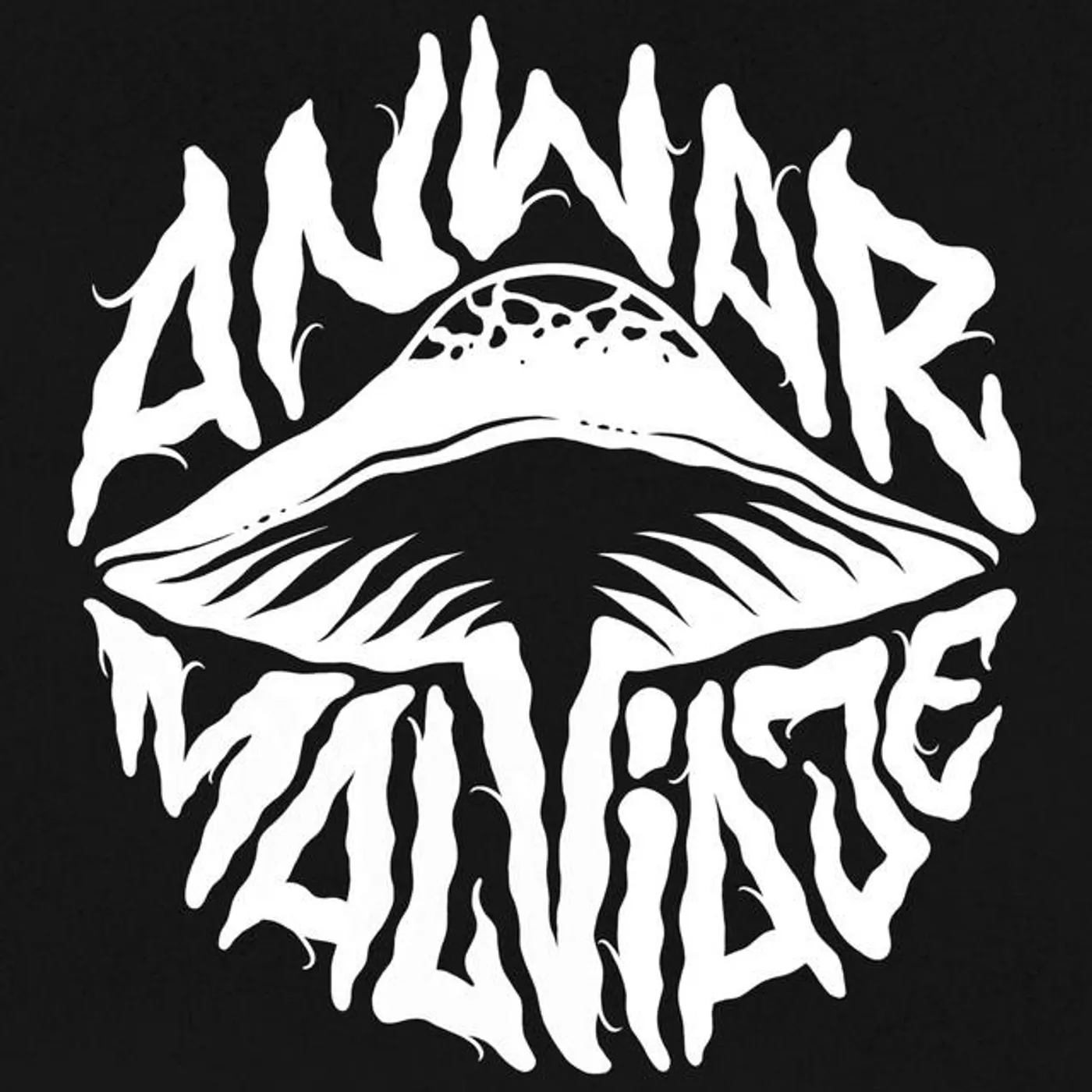 Anwar Malviaje