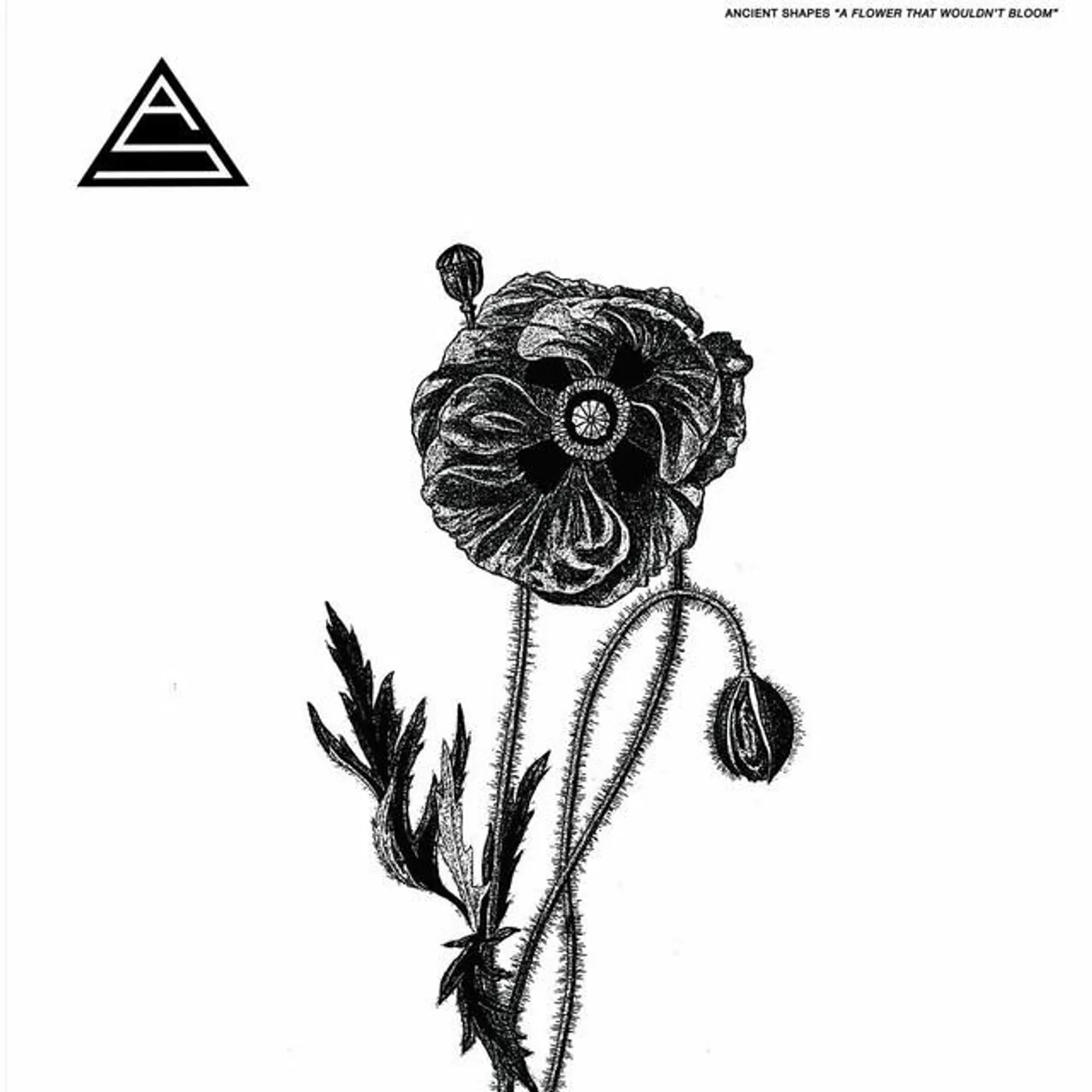 Ancient Shapes Brand Page