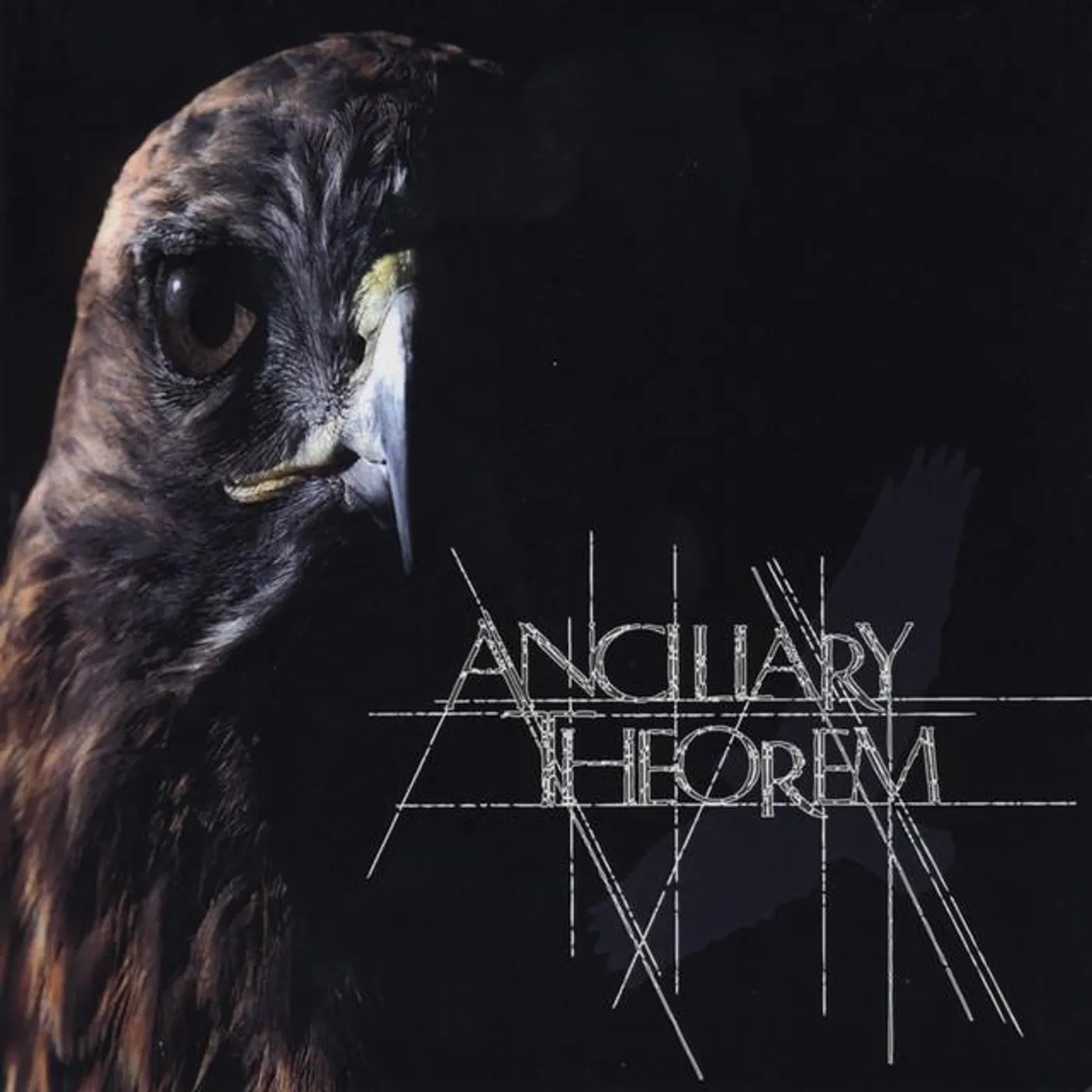 Ancillary Theorem Brand Page