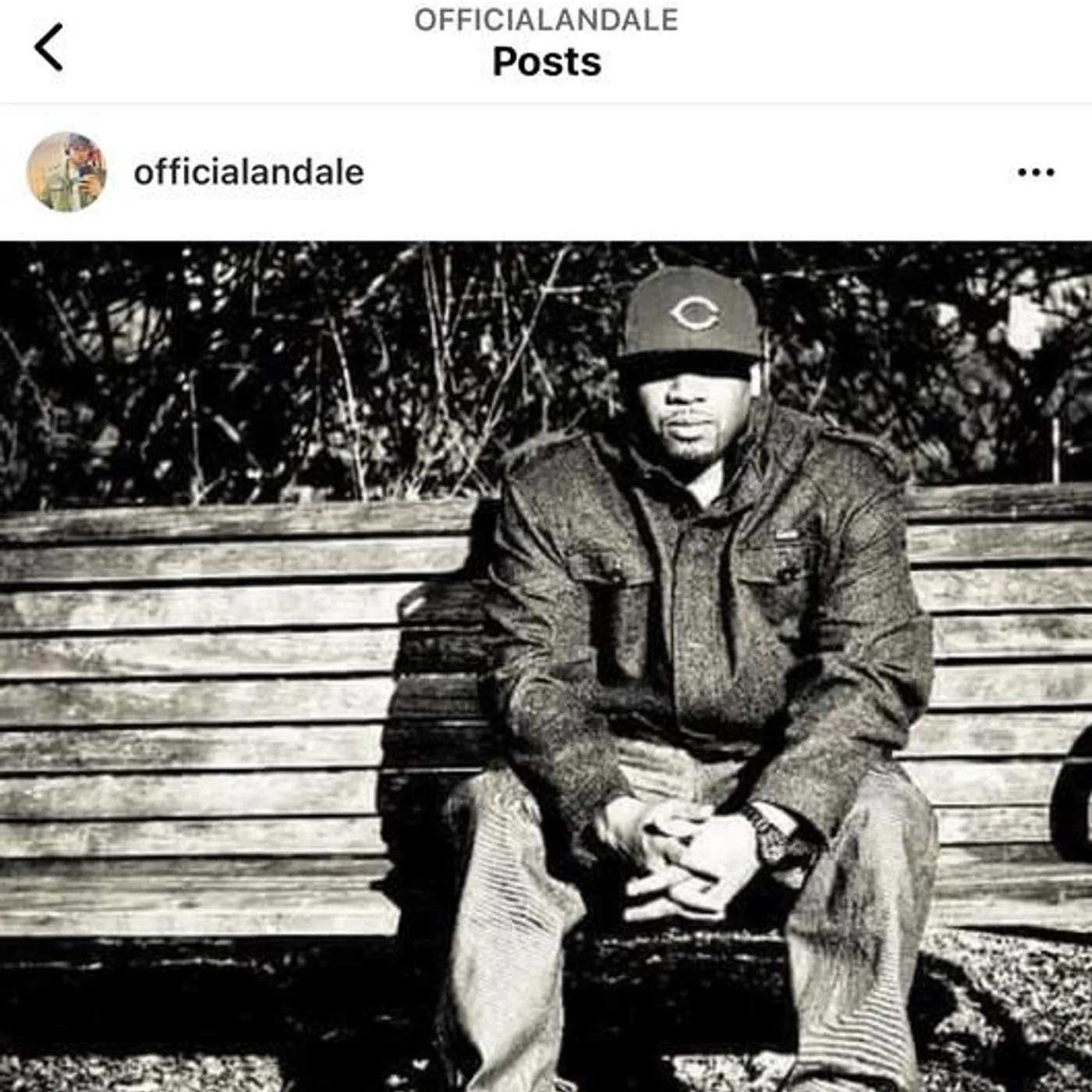 Andale' Brand Page