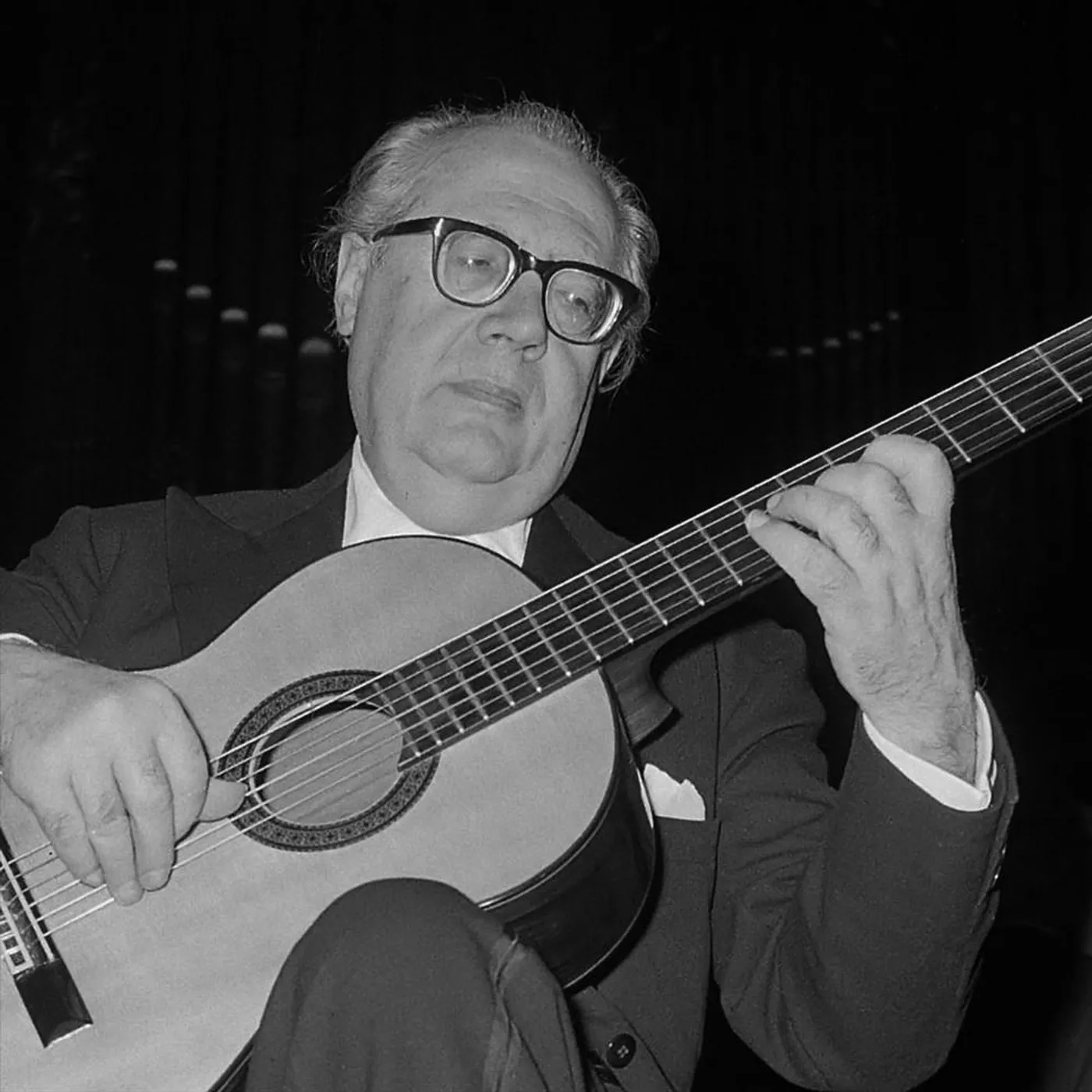 Andrés Segovia Brand Page