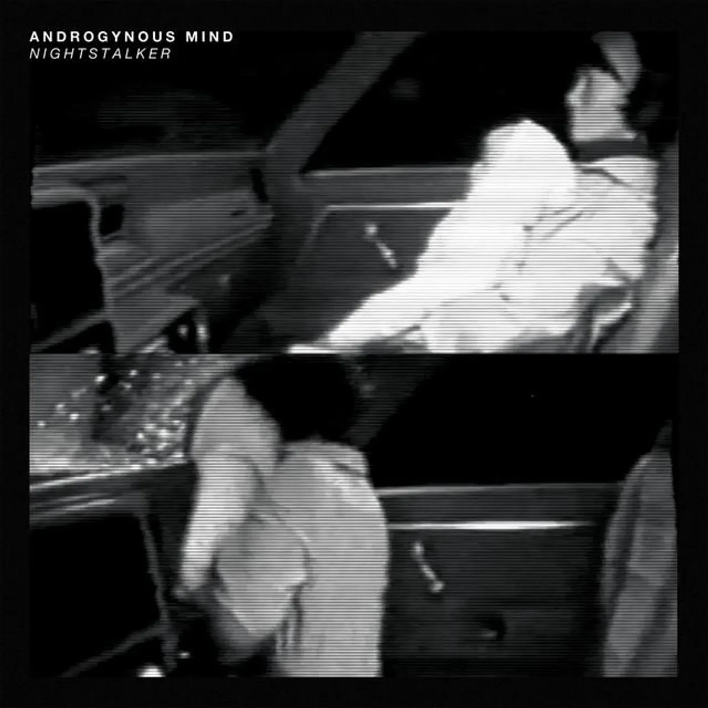 Androgynous Mind
