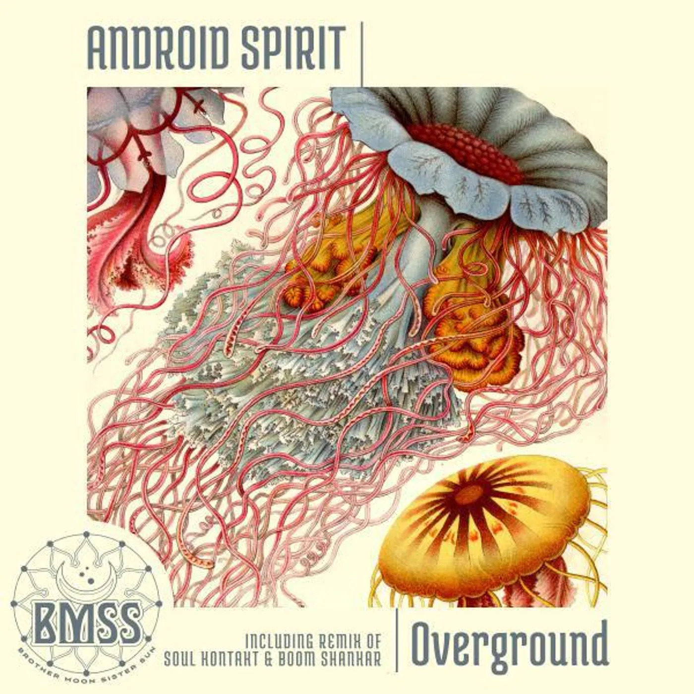 Android Spirit