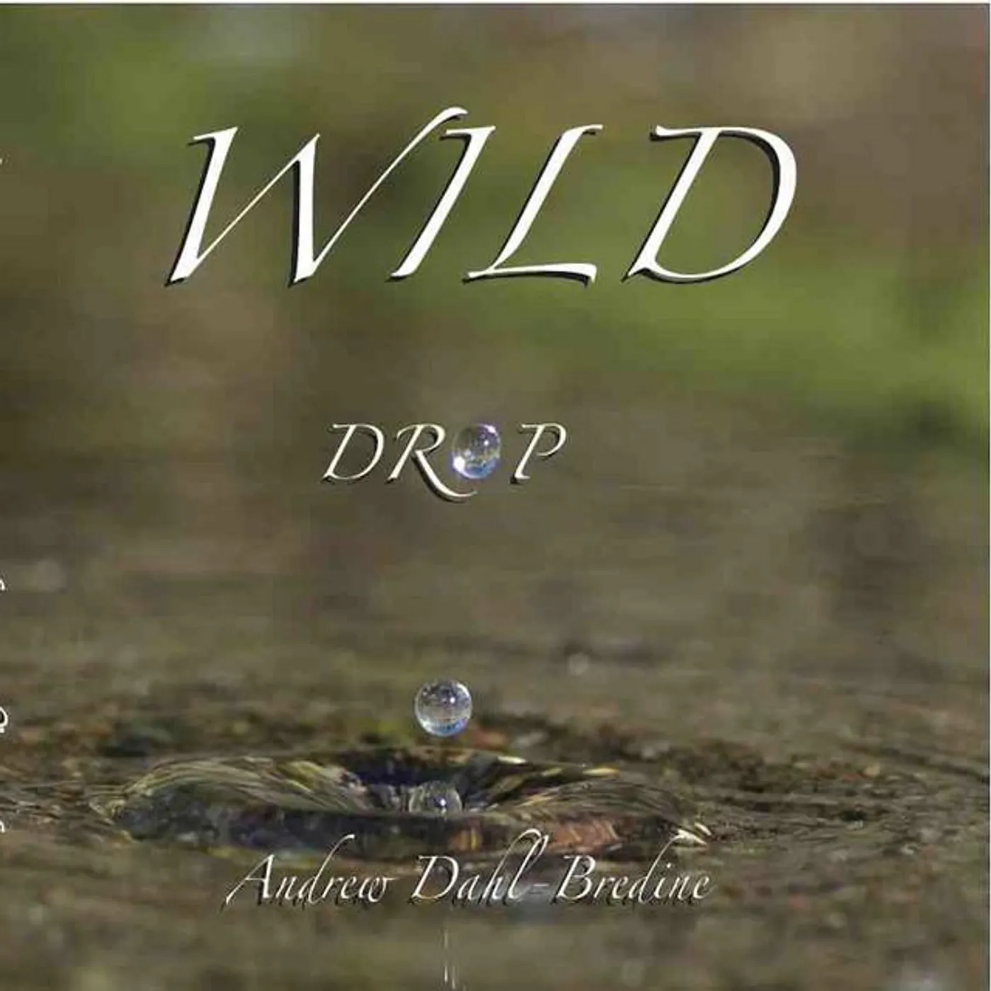 Andrew Dahl-Bredine