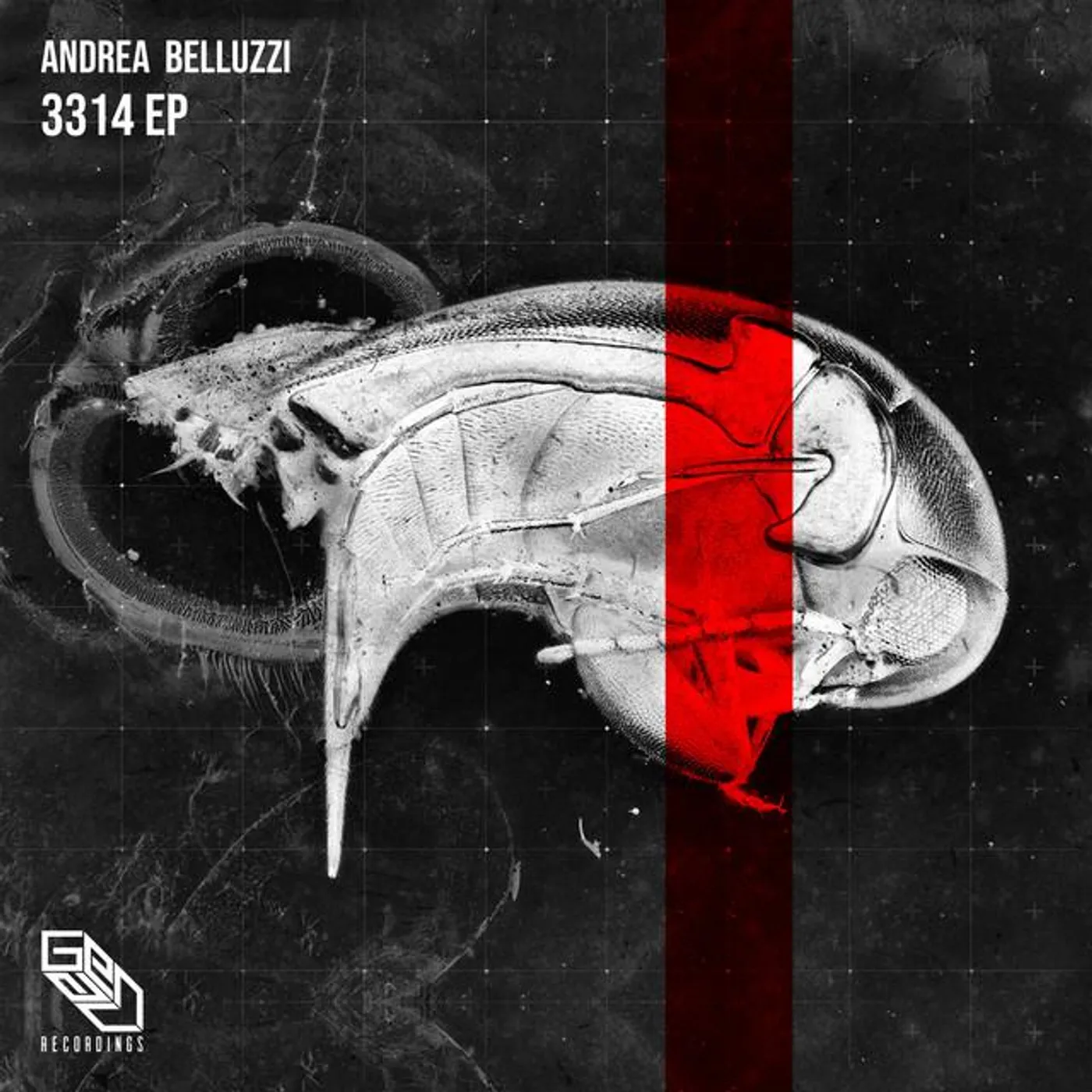 Andrea Belluzzi