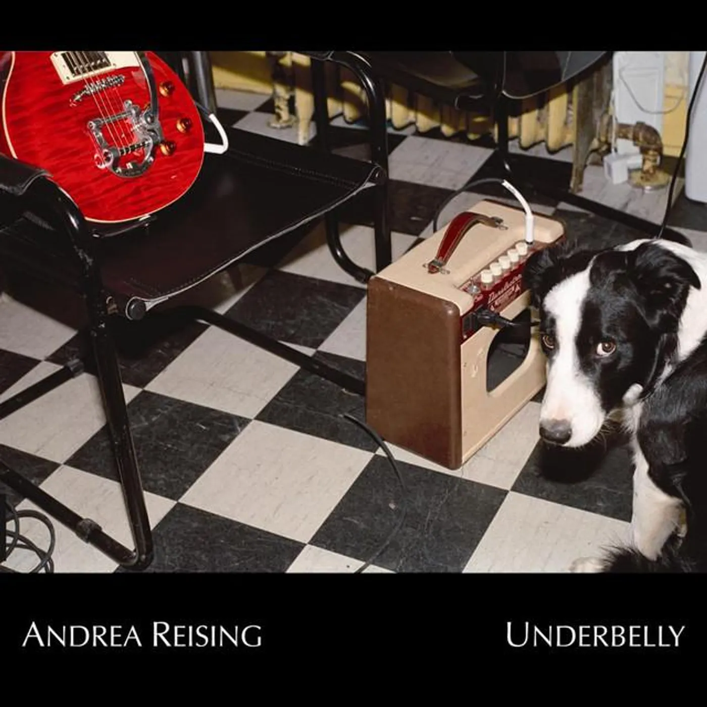 Andrea Reising Brand Page