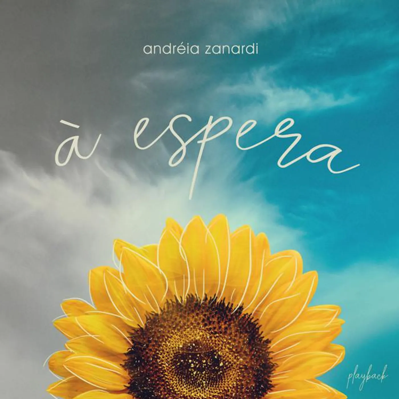 Andreia Zanardi