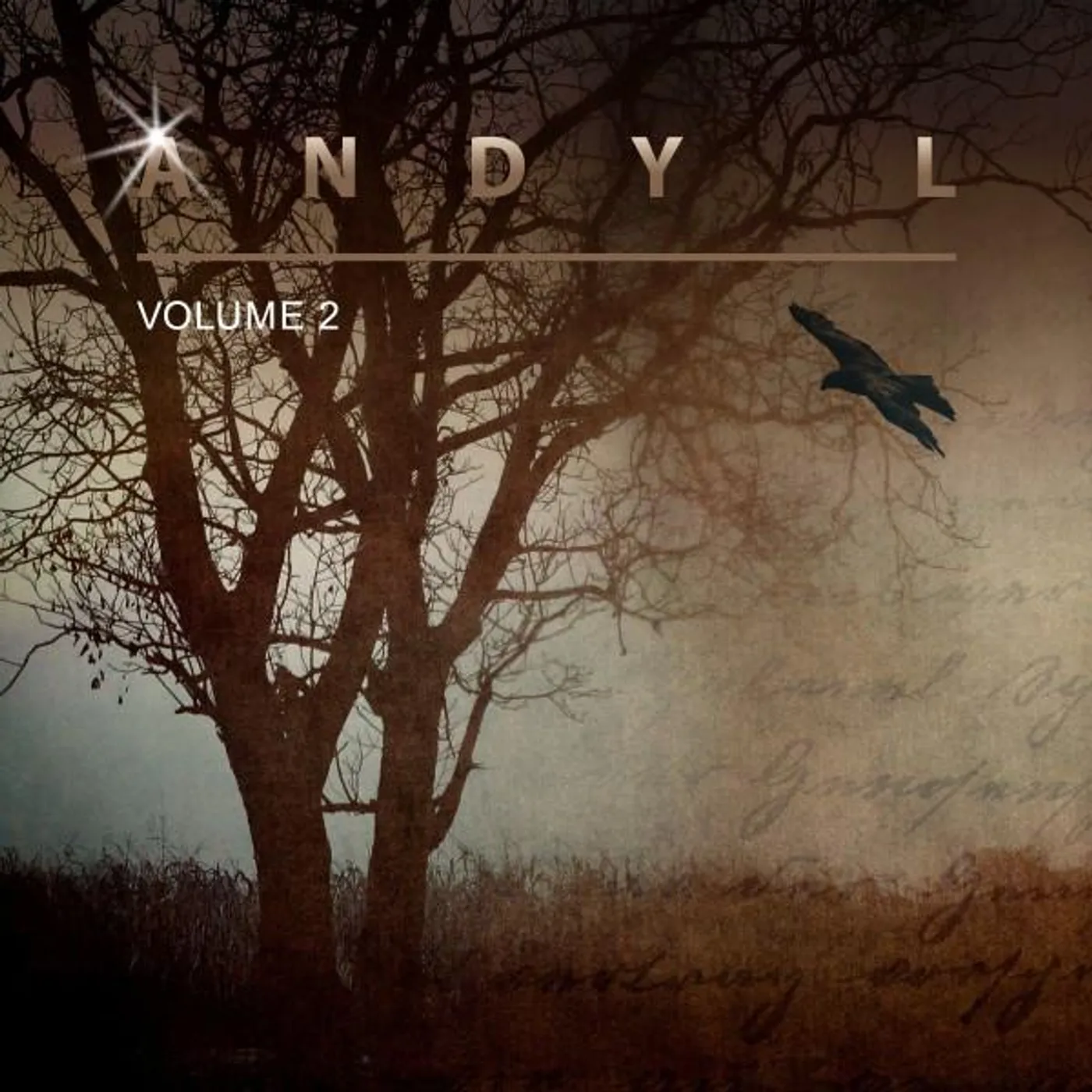 Andy L Brand Page