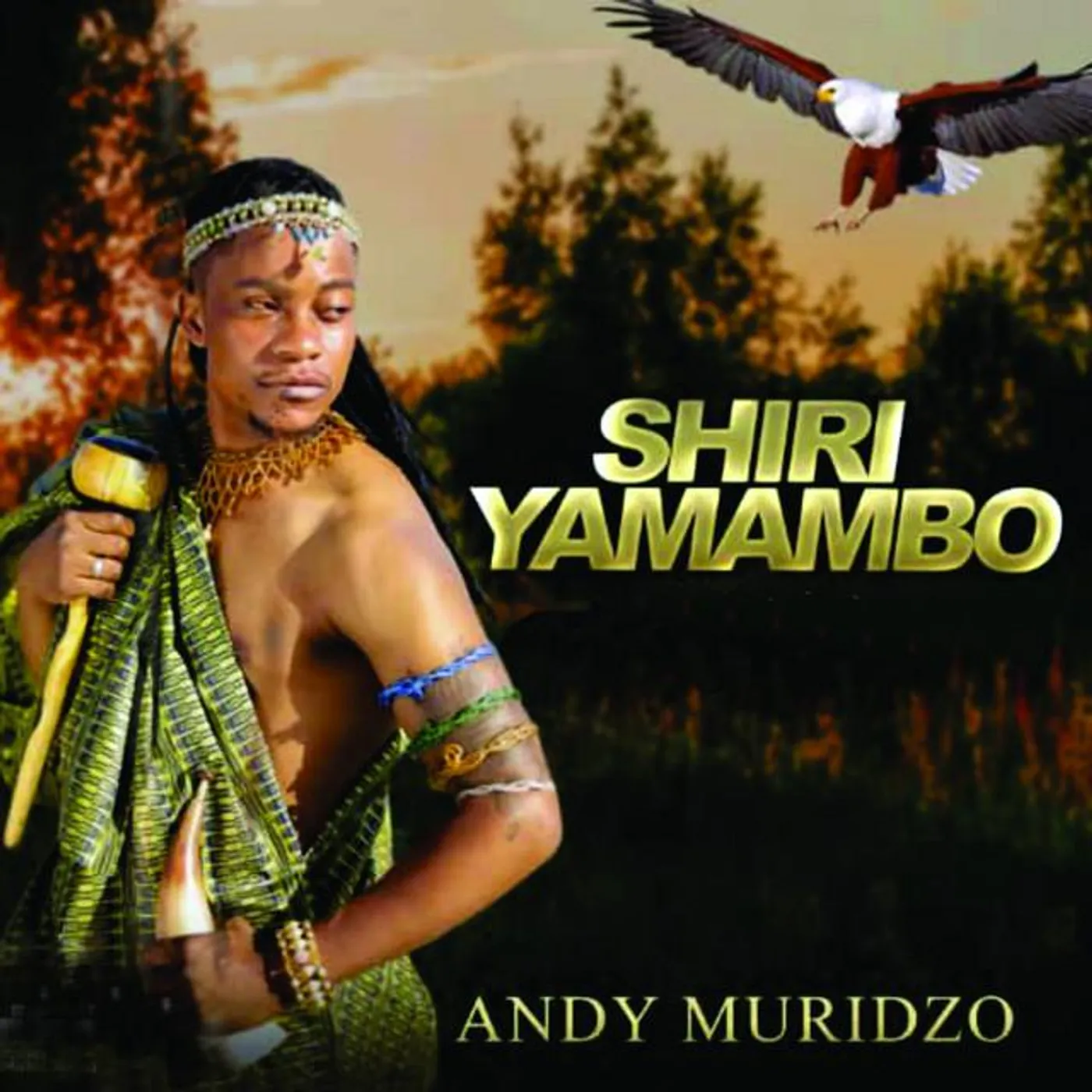 Andy Muridzo