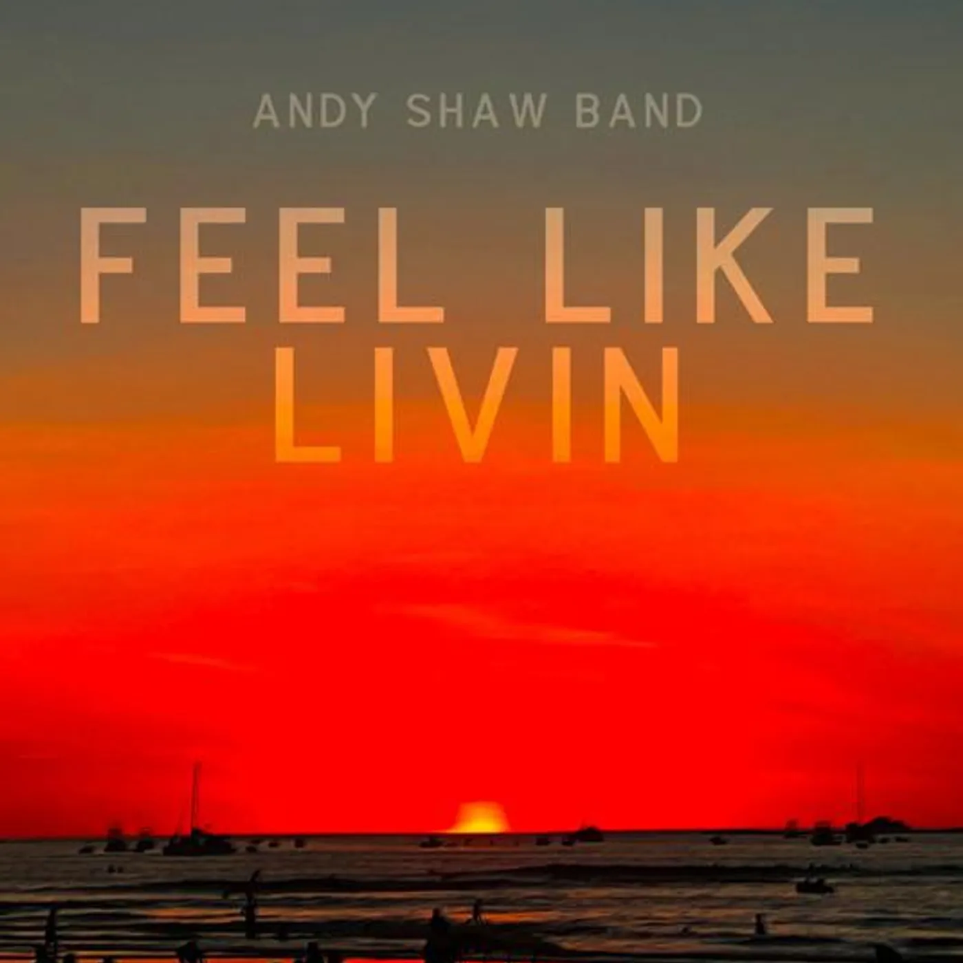 Andy Shaw Band Brand Page