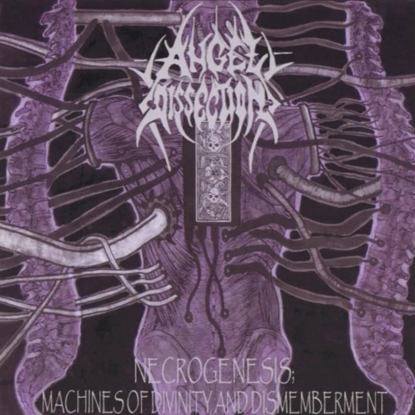Angel Dissection