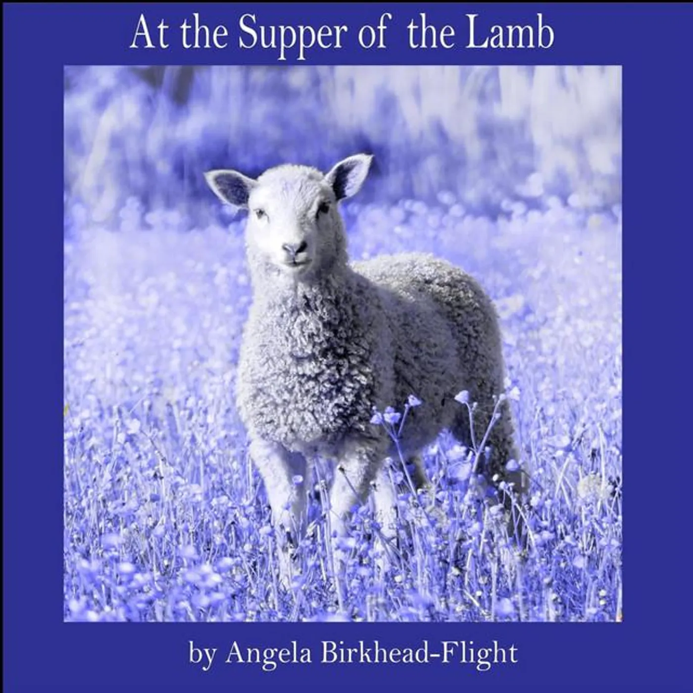 Angela Birkhead-Flight Brand Page