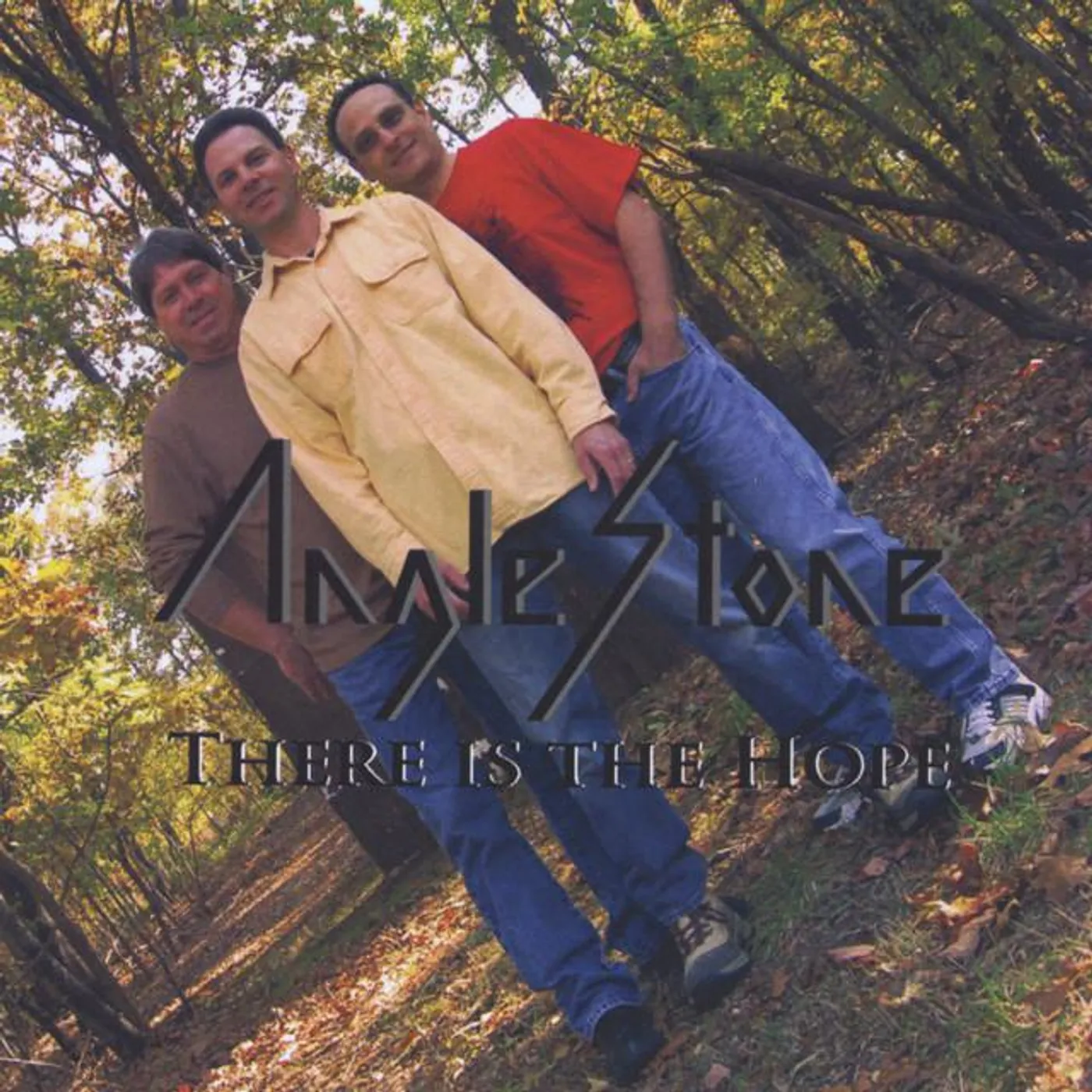 Anglestone Brand Page