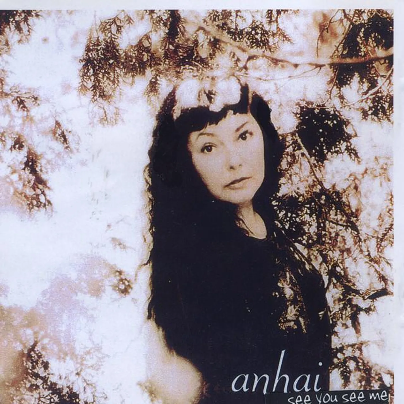 Anhai