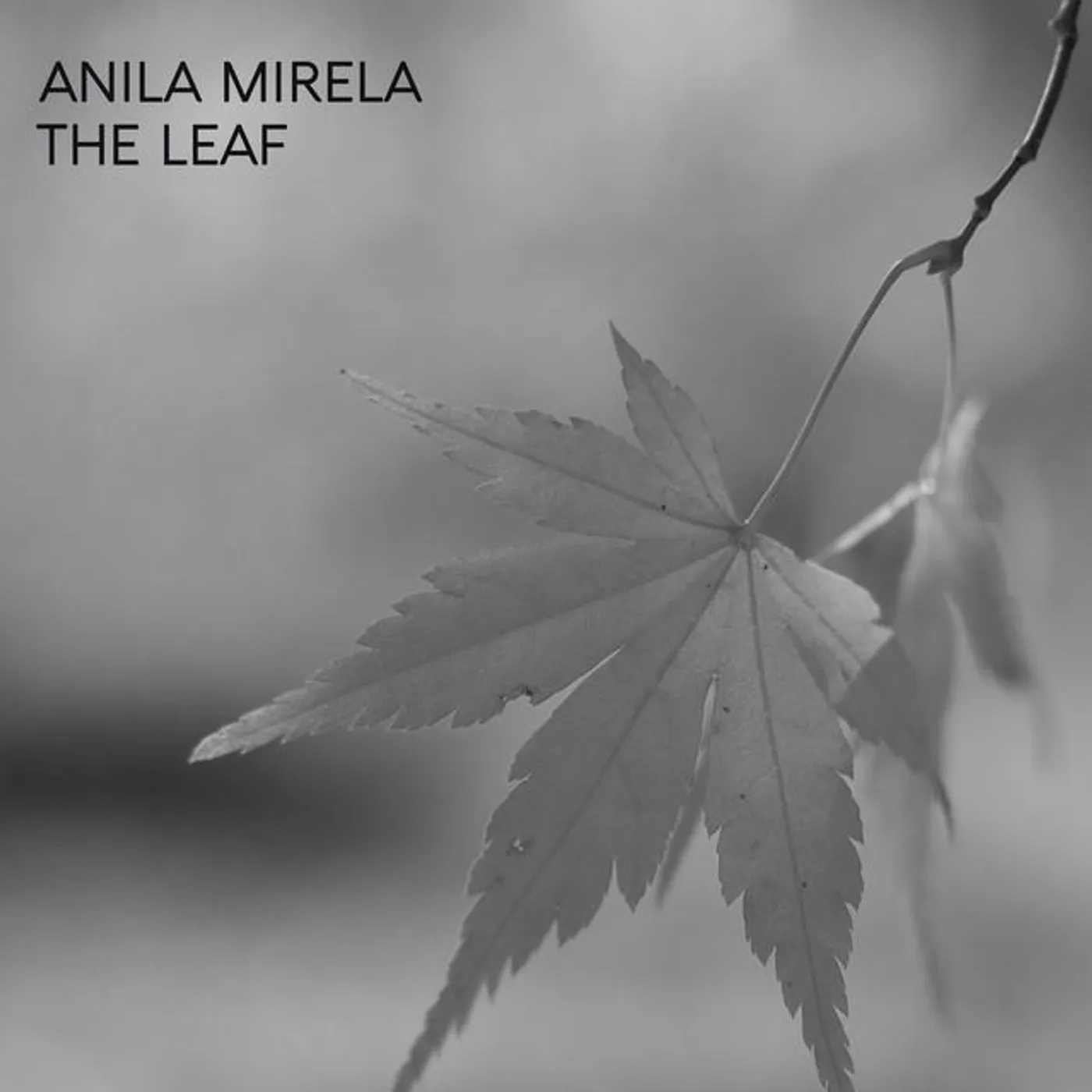 Anila Mirela