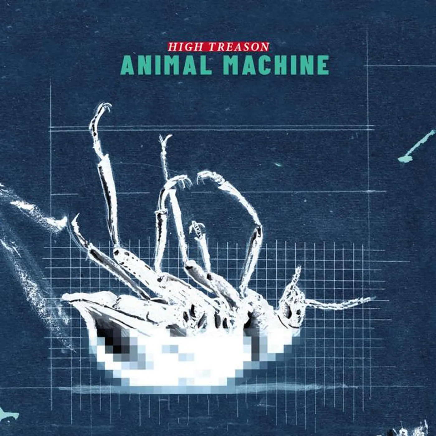 Animal Machine