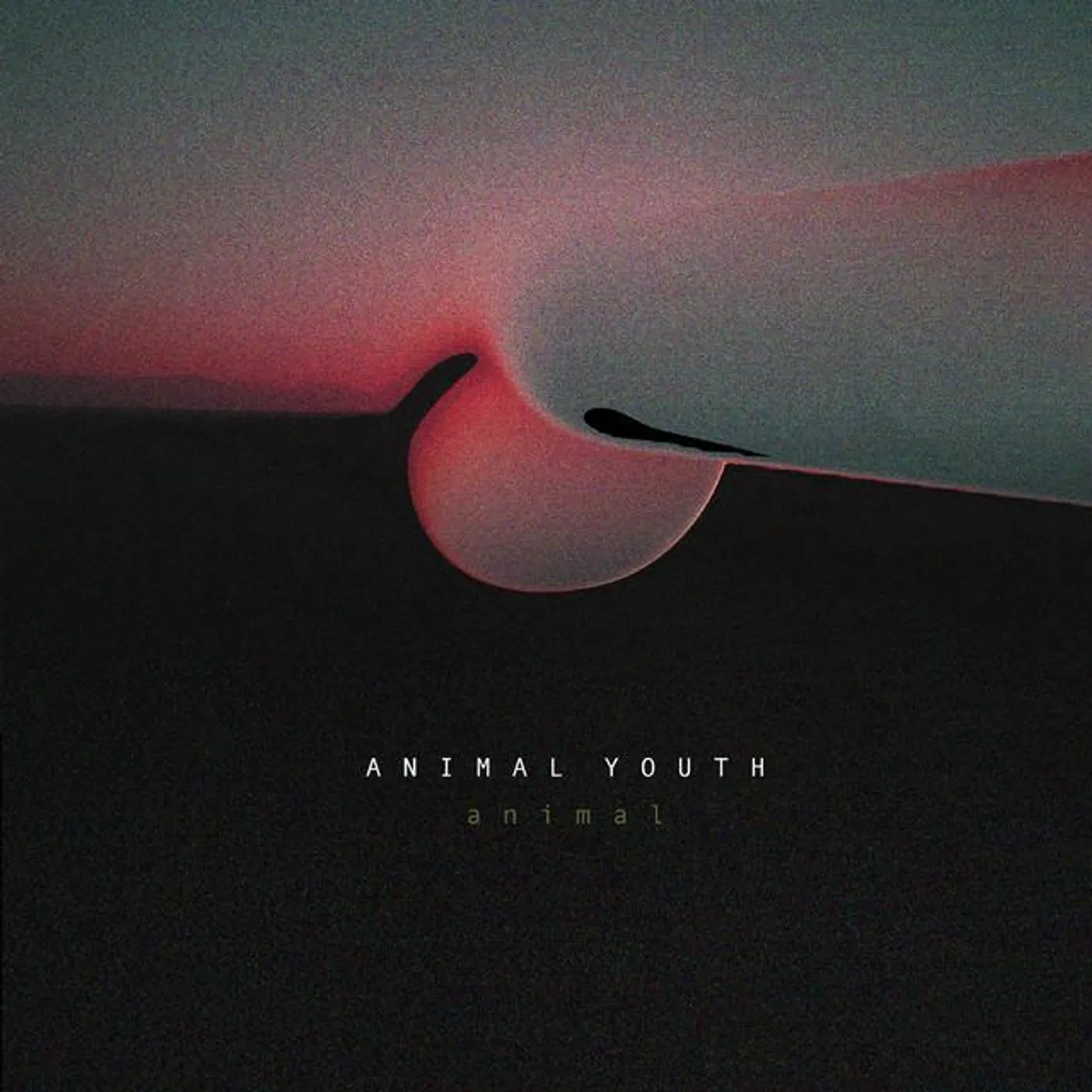 Animal Youth