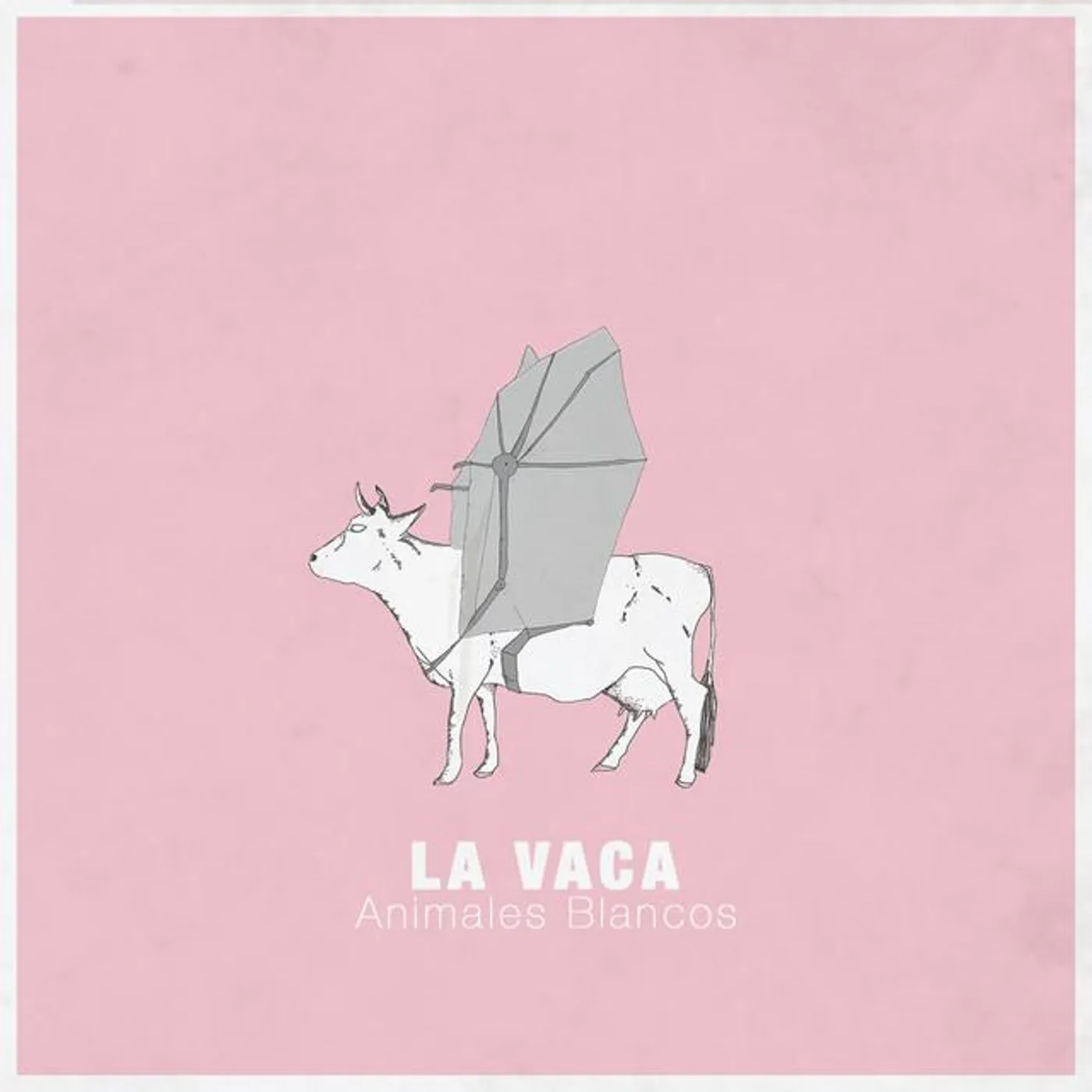 Animales Blancos Brand Page