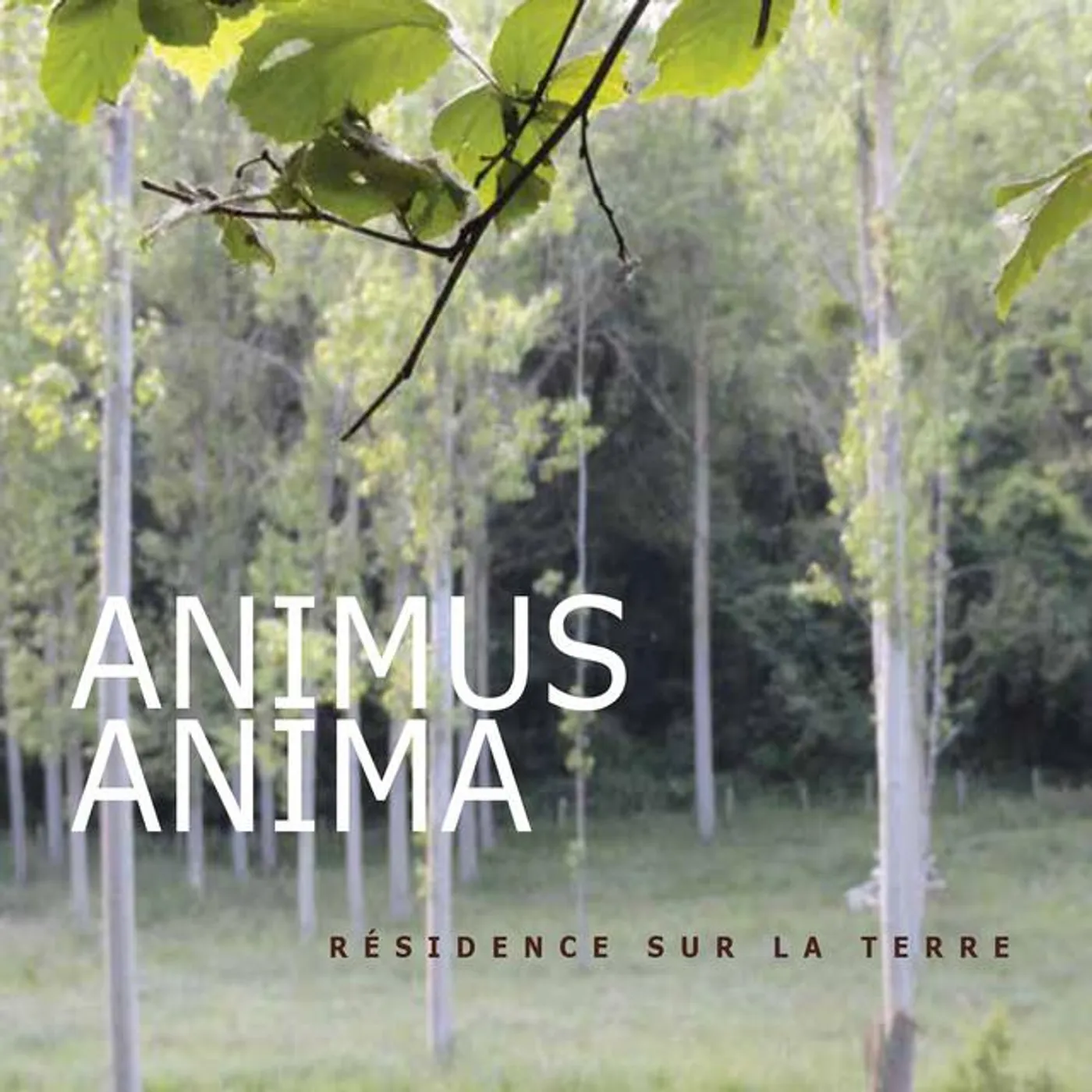 Animus Anima