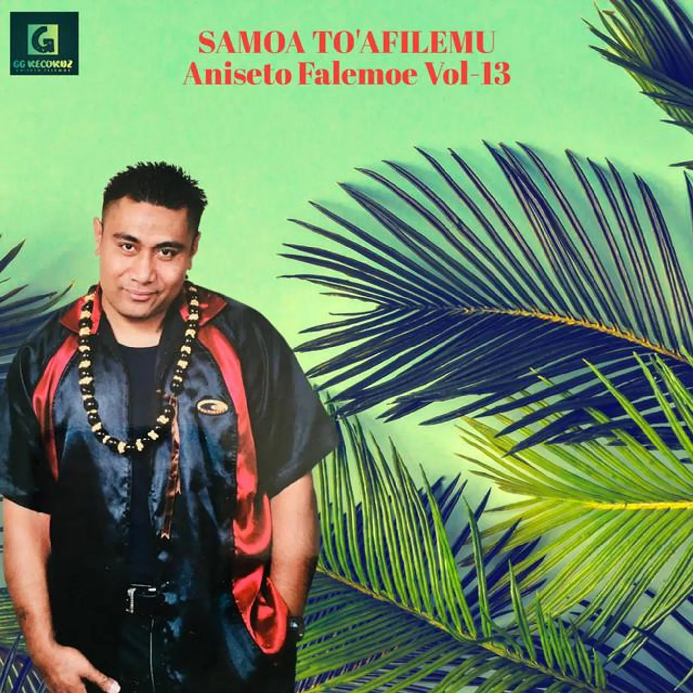 Aniseto Falemoe Brand Page