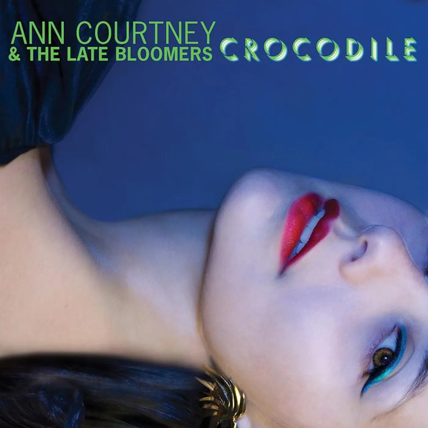 Ann Courtney & The Late Bloomers Brand Page
