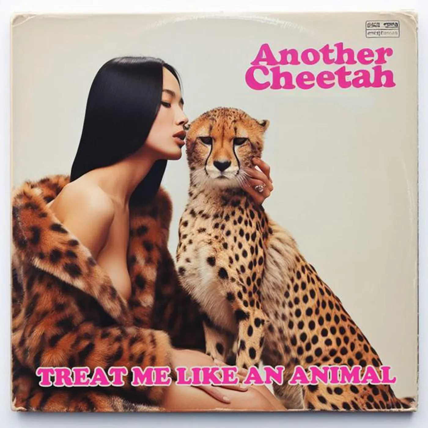 Another Cheetah
