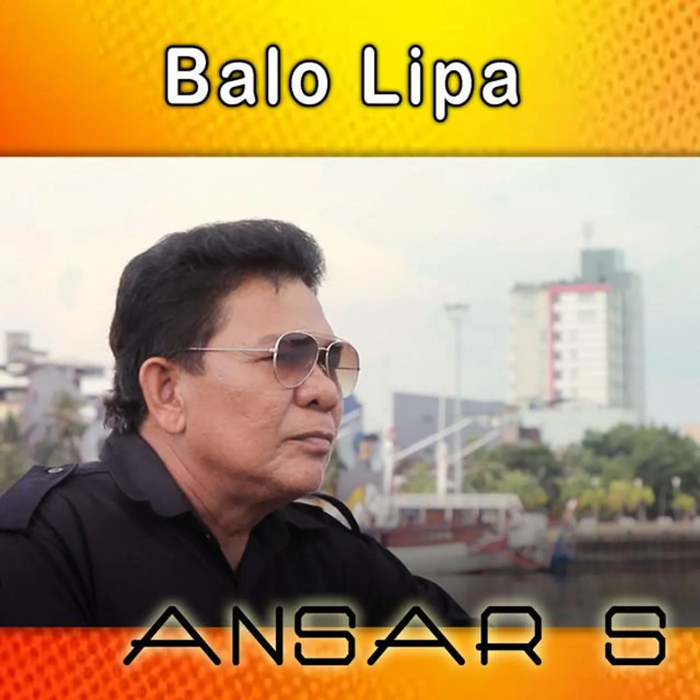 Ansar S