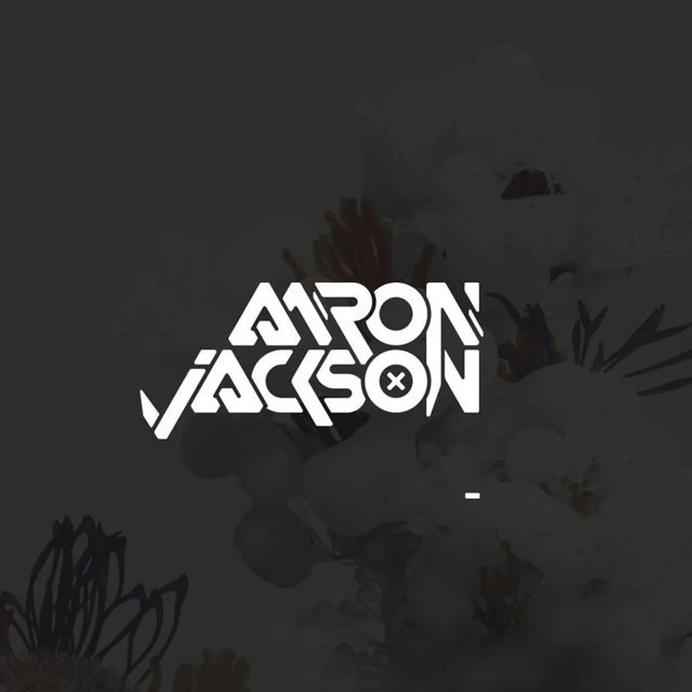Aaron Jackson Brand Page