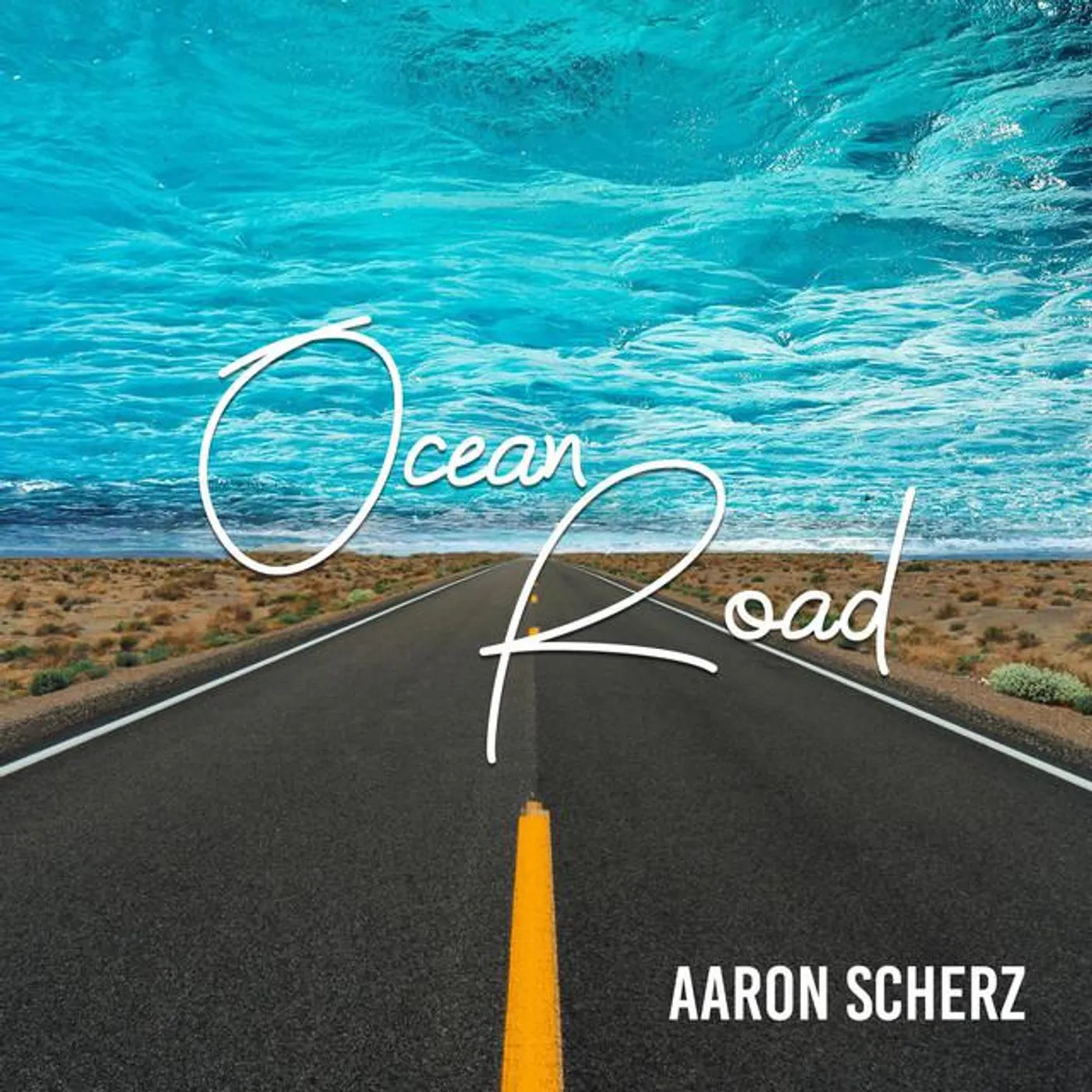 Aaron Scherz Brand Page