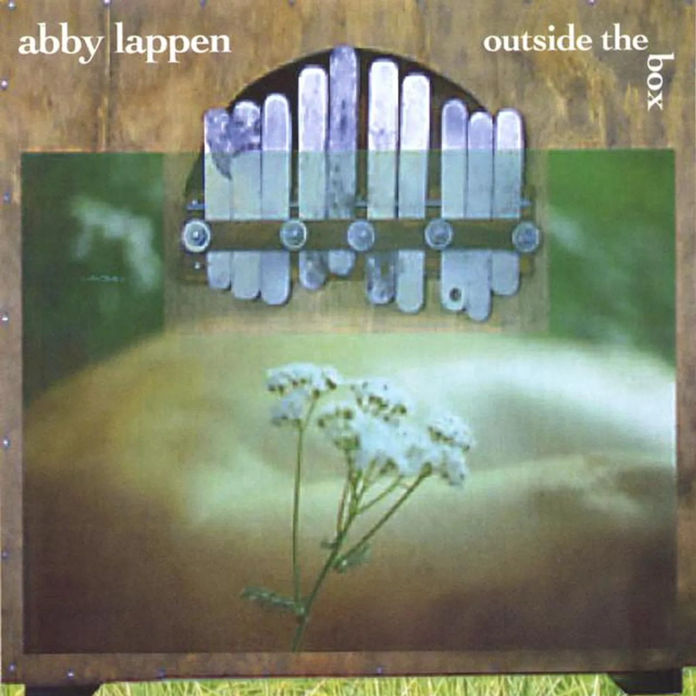 Abby Lappen
