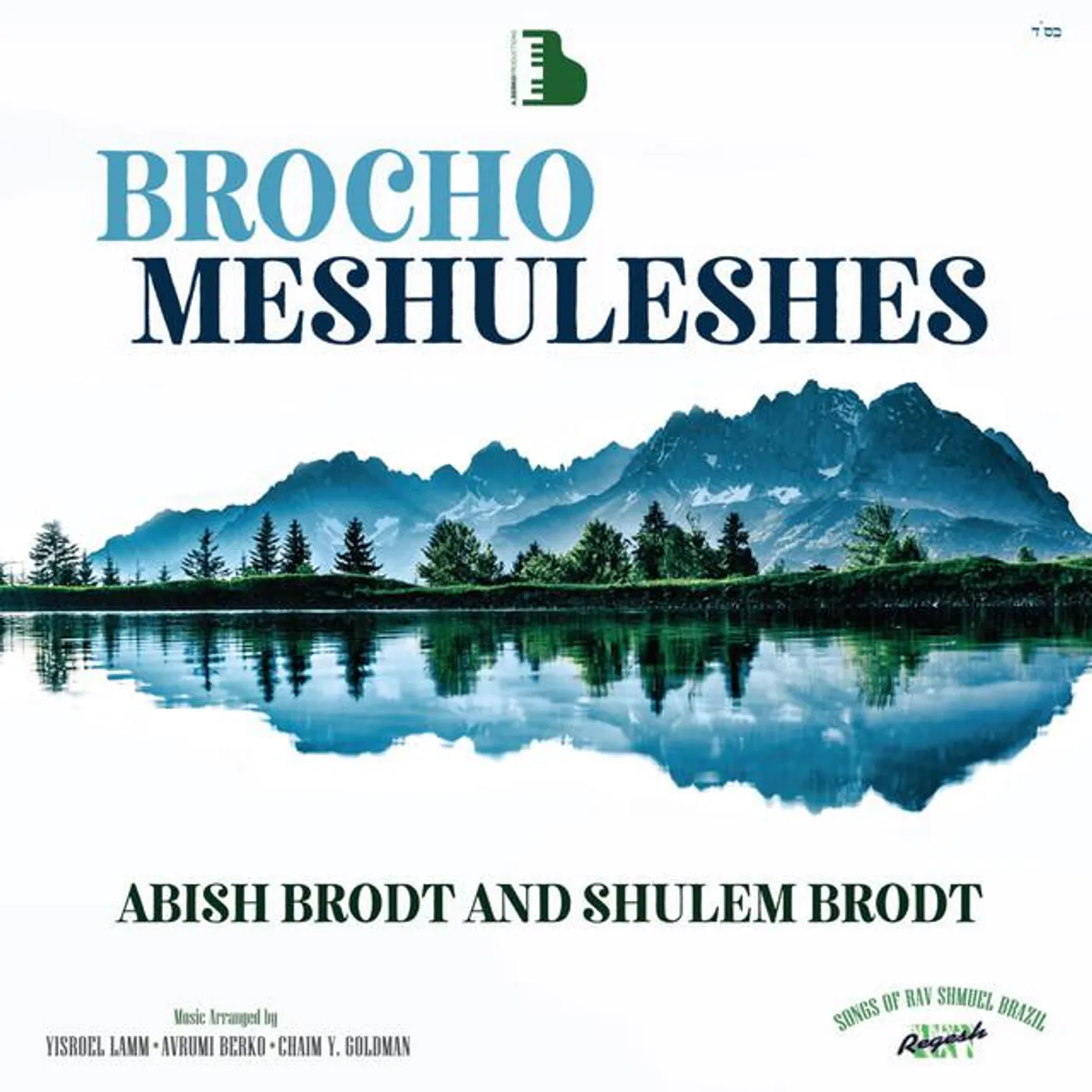 Abish Brodt