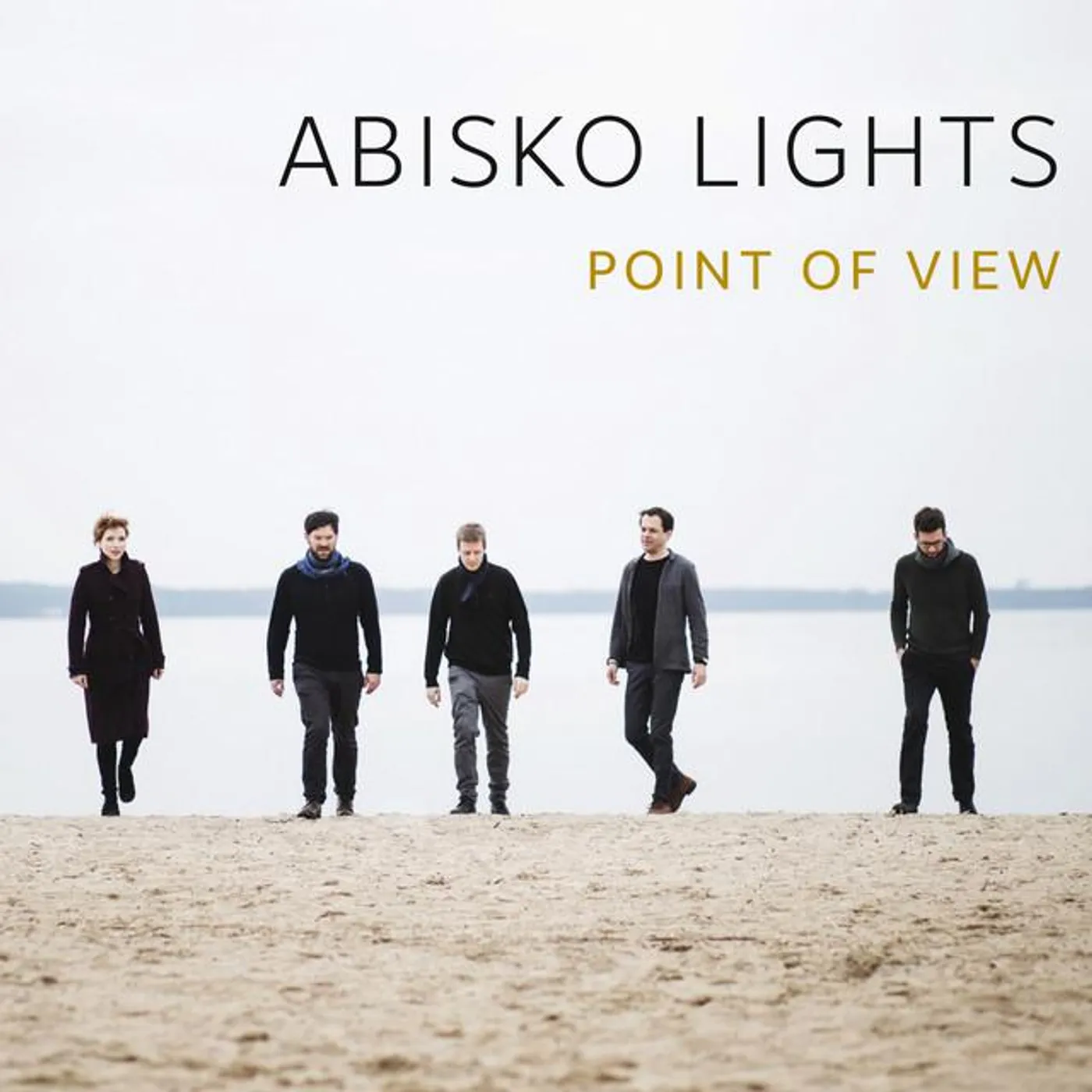Abisko Lights