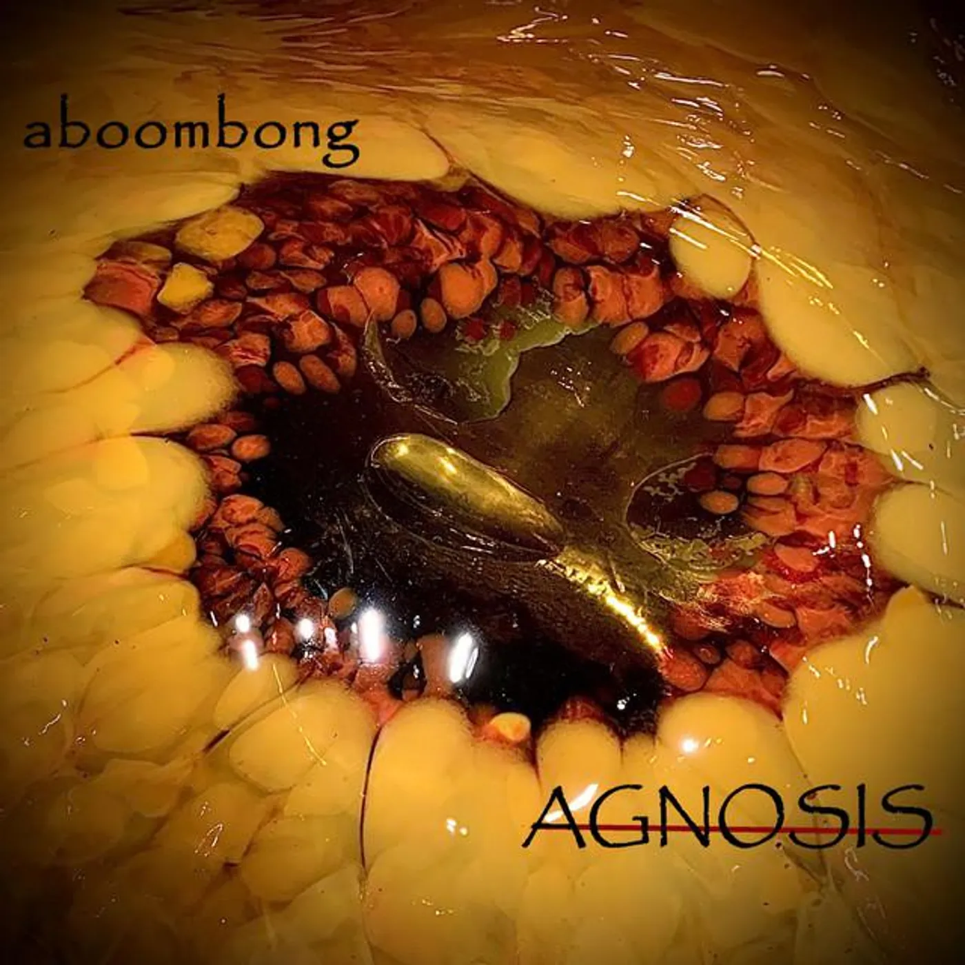 Aboombong