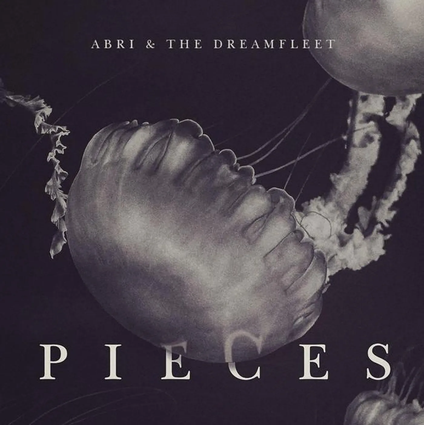 Abri and the Dreamfleet