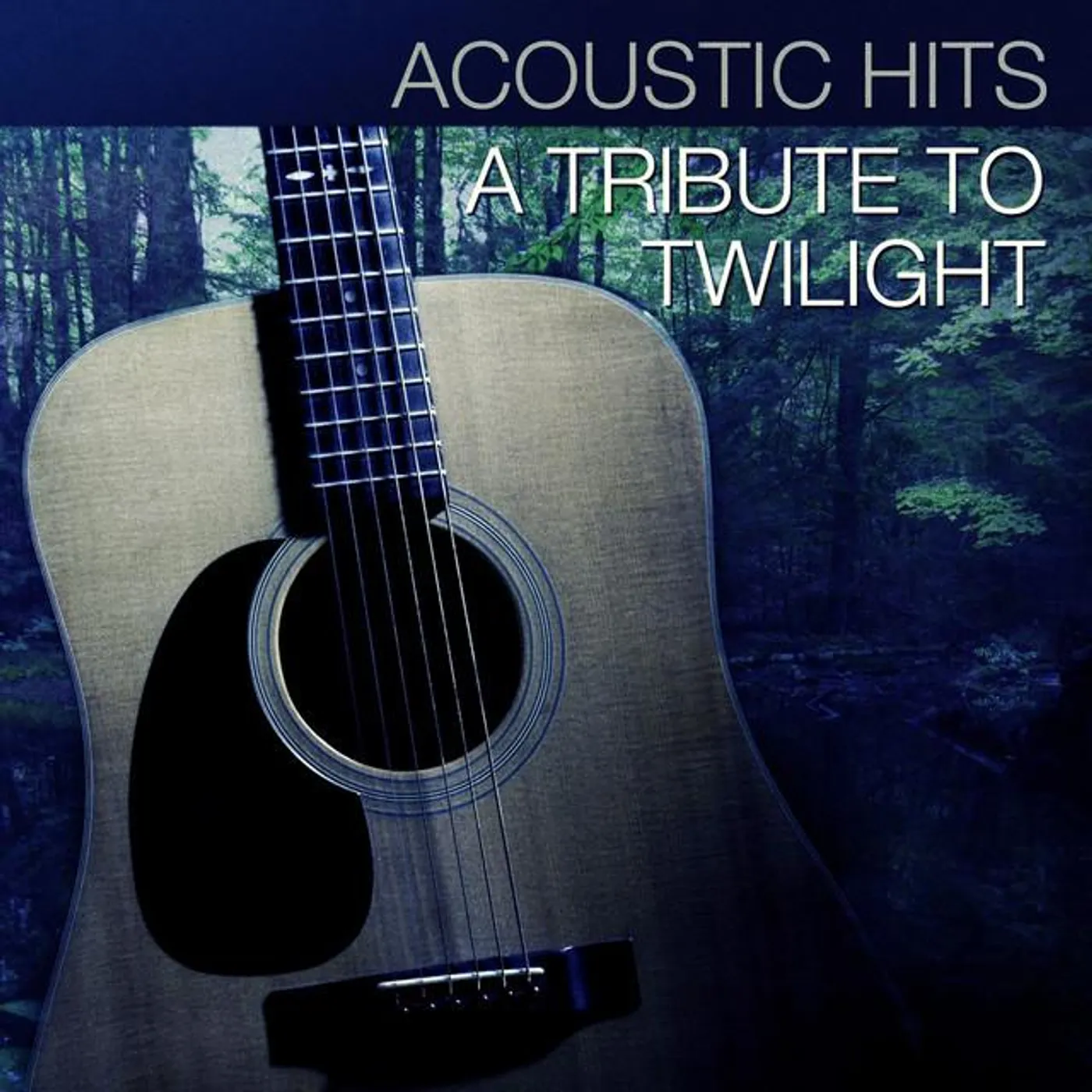 Acoustic Hits Brand Page