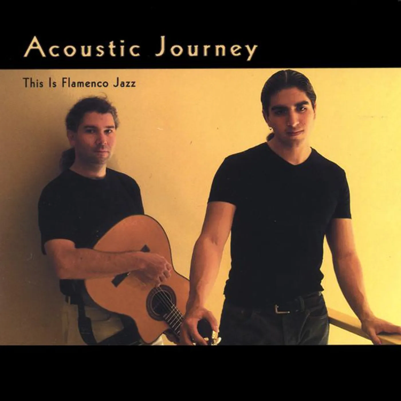 Acoustic Journey
