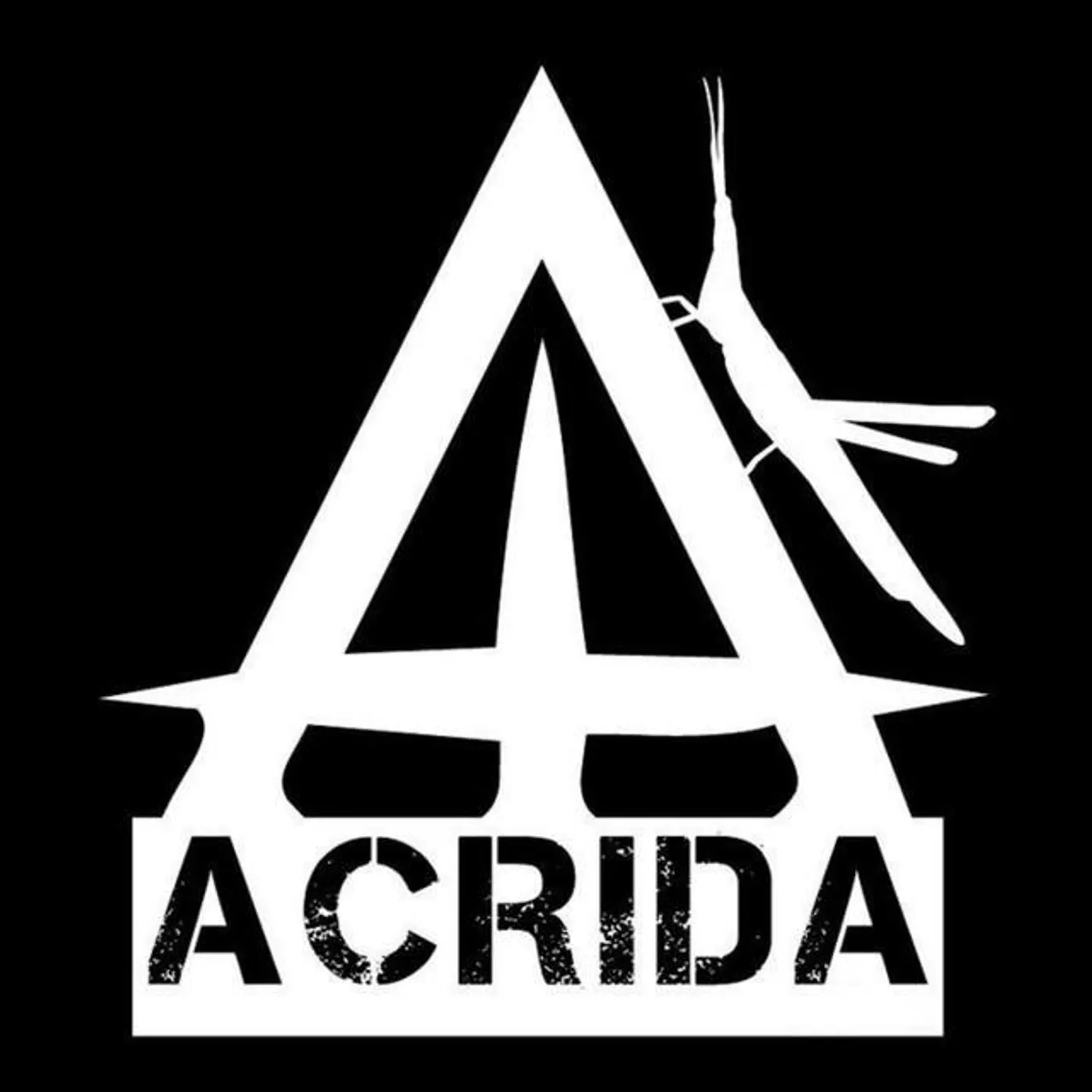 Acrida