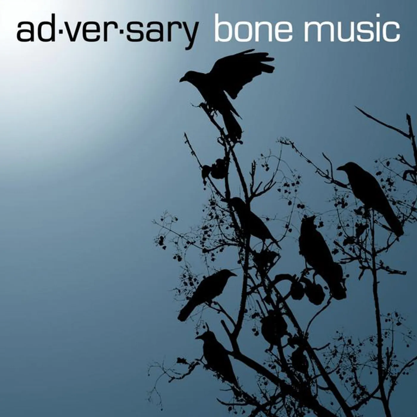 Ad·ver·sary