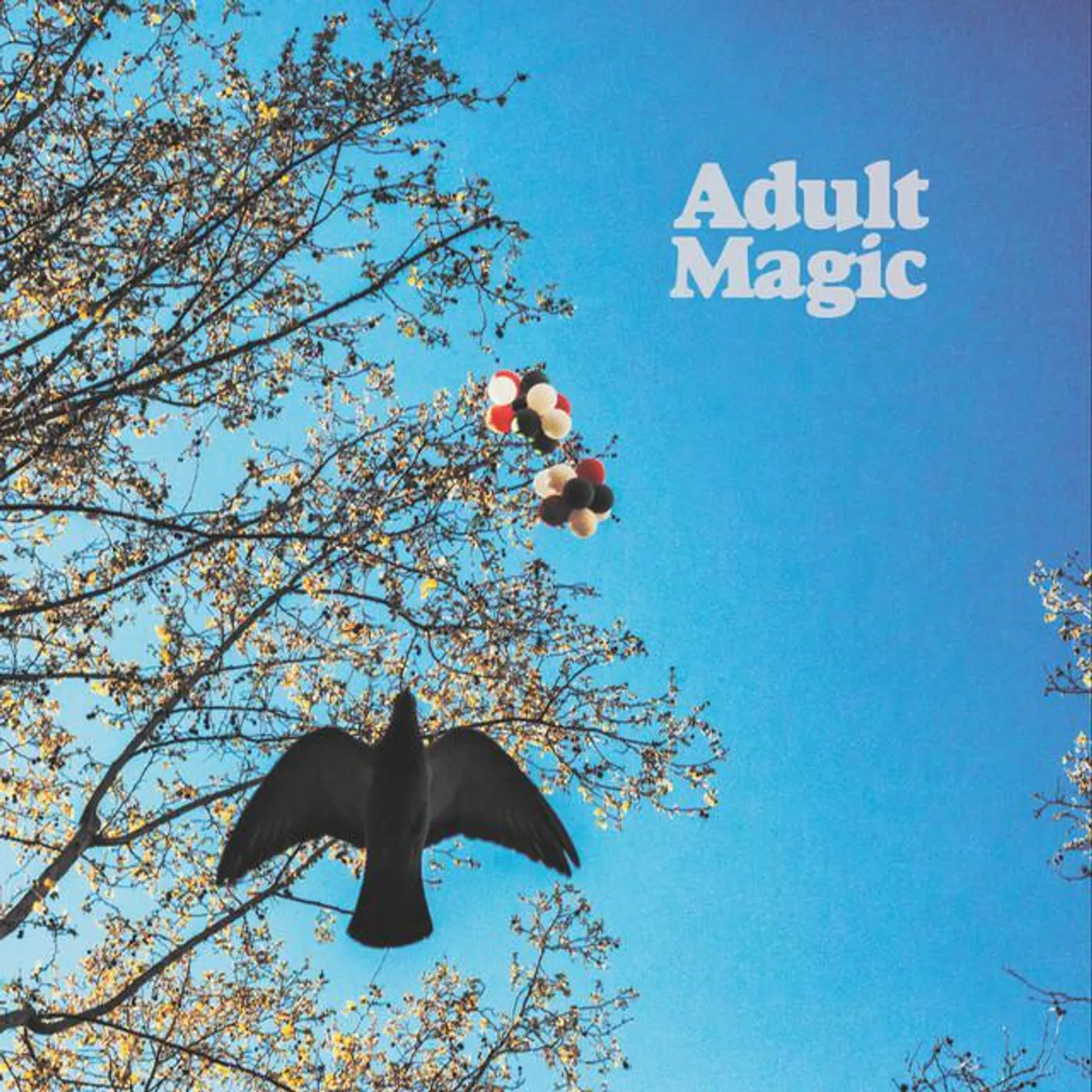 Adult Magic Brand Page