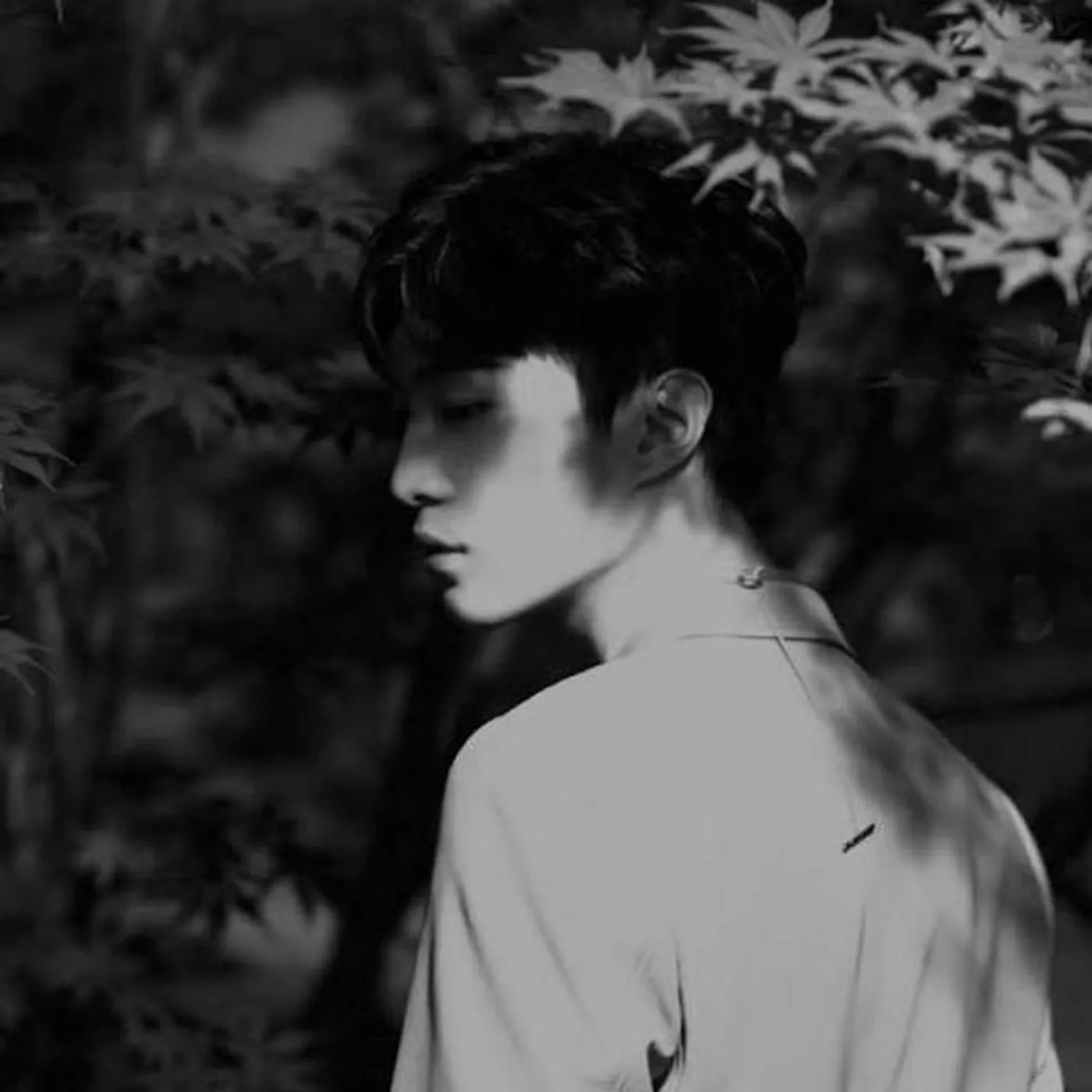 Adam Fan Brand Page