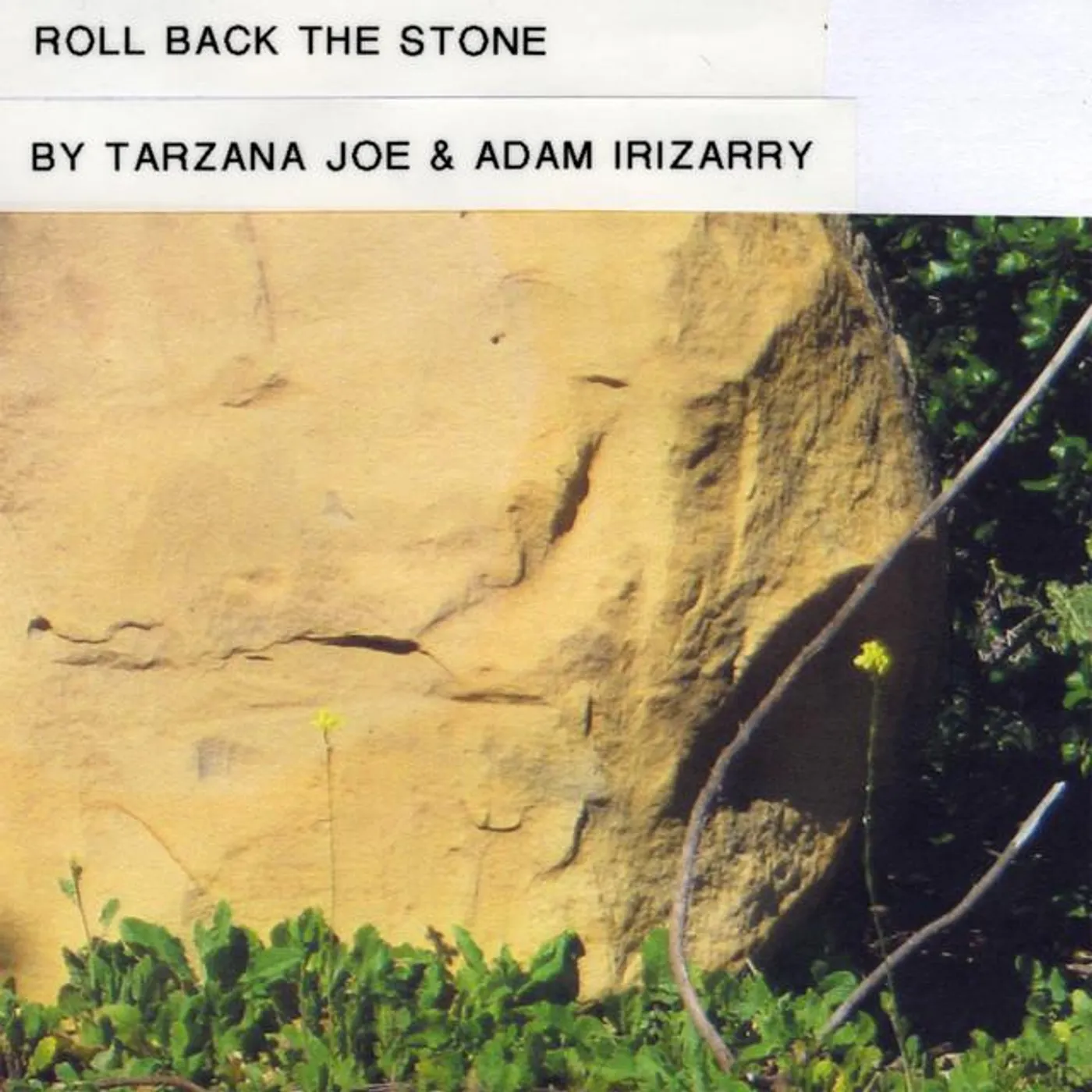 Adam Irizarry Brand Page